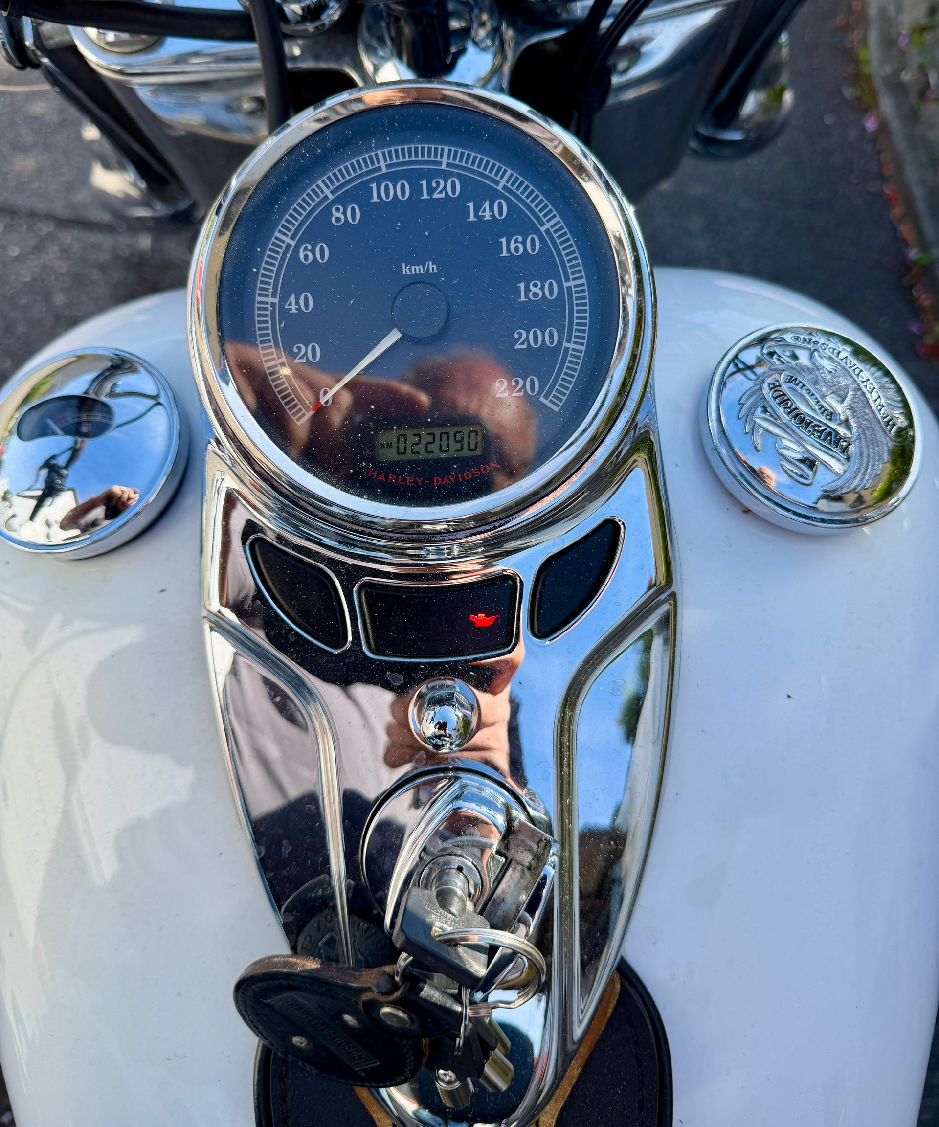 HARLEY-DAVIDSON FLSTCI Softail Classic-image-7
