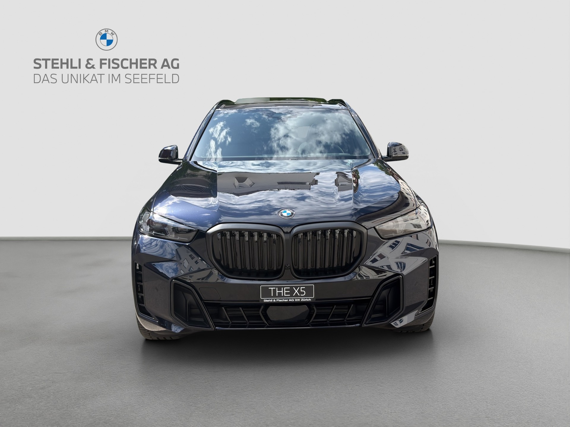 BMW X5 xDrive 48V 40i M Sport Pro Steptronic-showroom-element-1