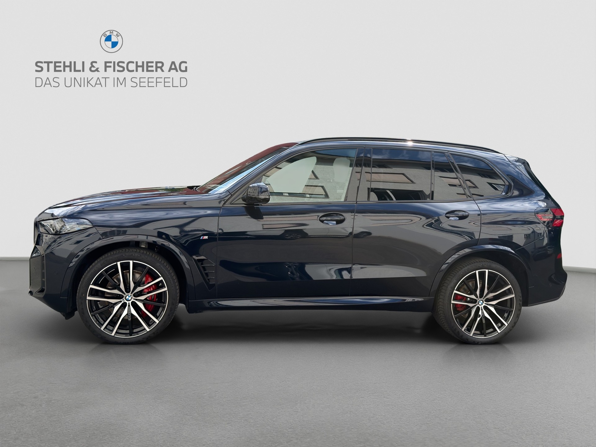BMW X5 xDrive 48V 40i M Sport Pro Steptronic-showroom-element-2