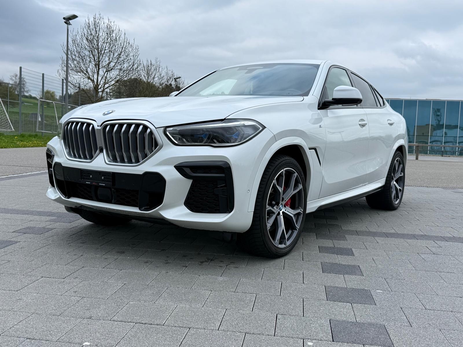 BMW X6 xDrive 48V 30d M Sport Steptronic