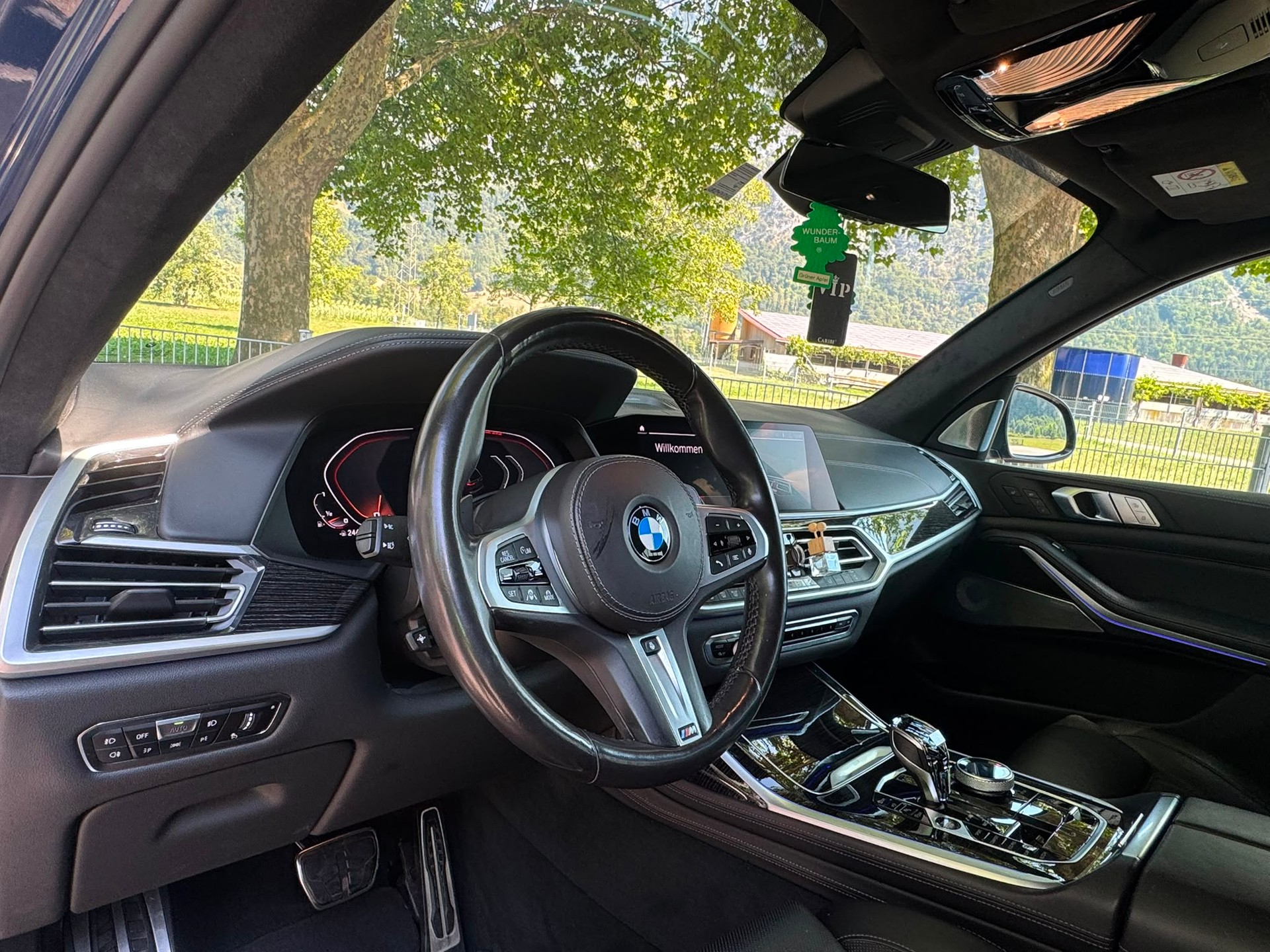 BMW X7 xDrive M50i Steptronic-image-19