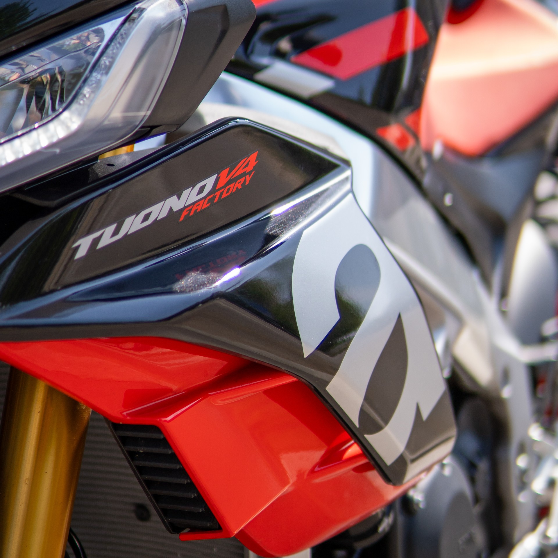 APRILIA Tuono V4 1100 Factory-image-6