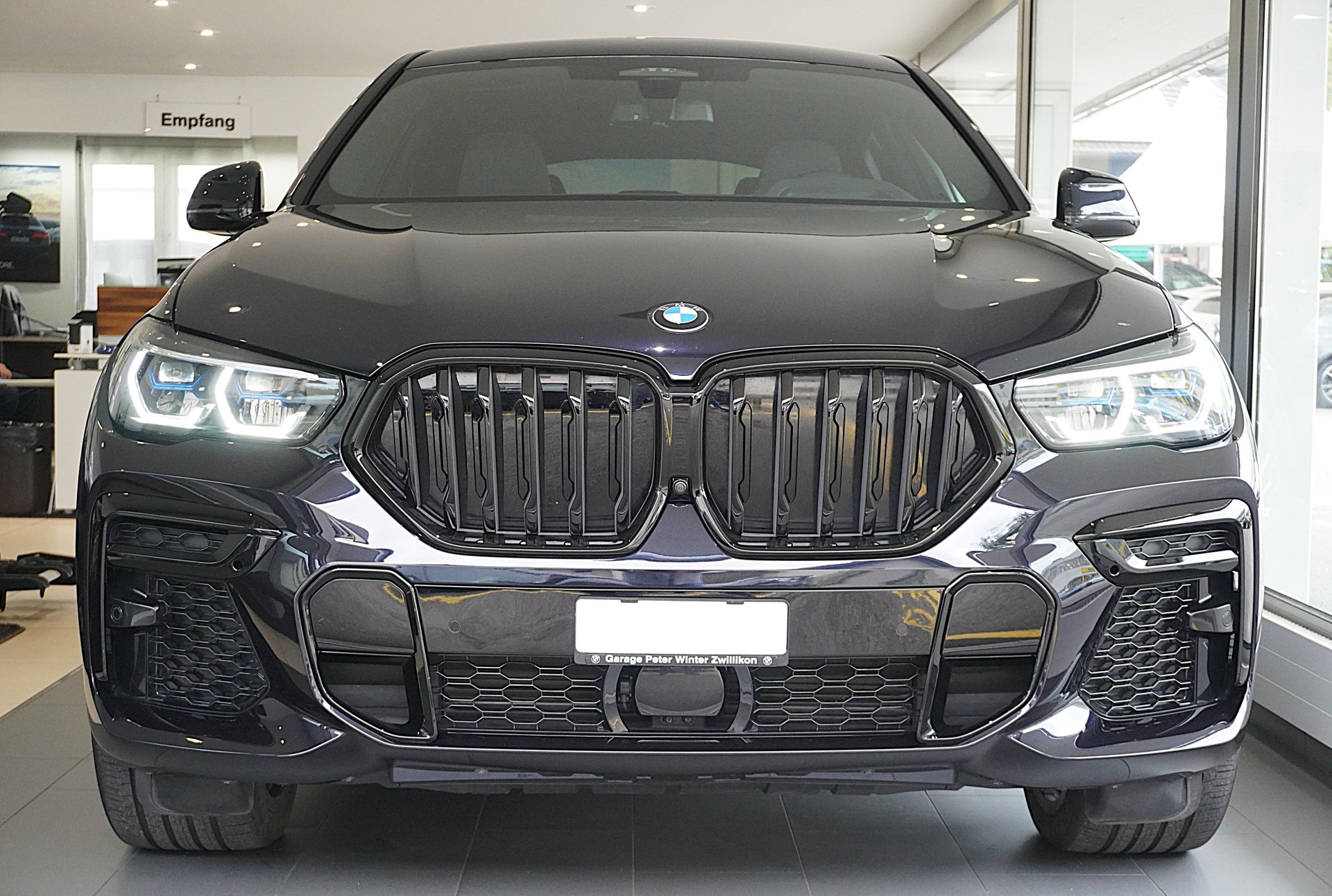 BMW X6 xDrive 48V 40d Steptronic M Sport-showroom-element-1