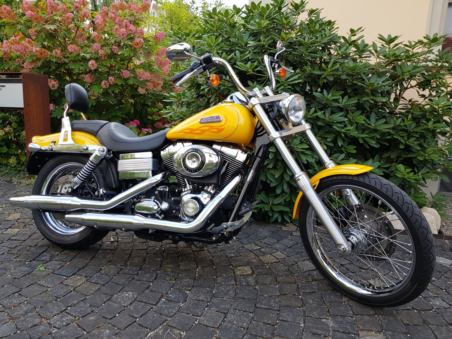 HARLEY-DAVIDSON FXDWG Dyna Wide Glide-image-0
