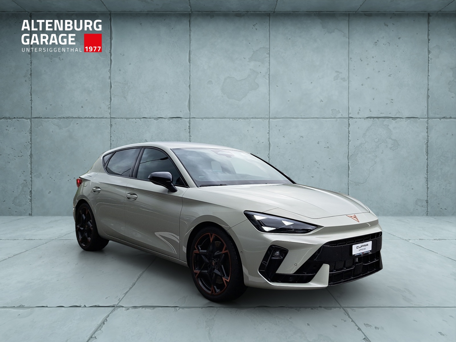 CUPRA Leon 2.0 TSI 300 VZ DSG-image-6