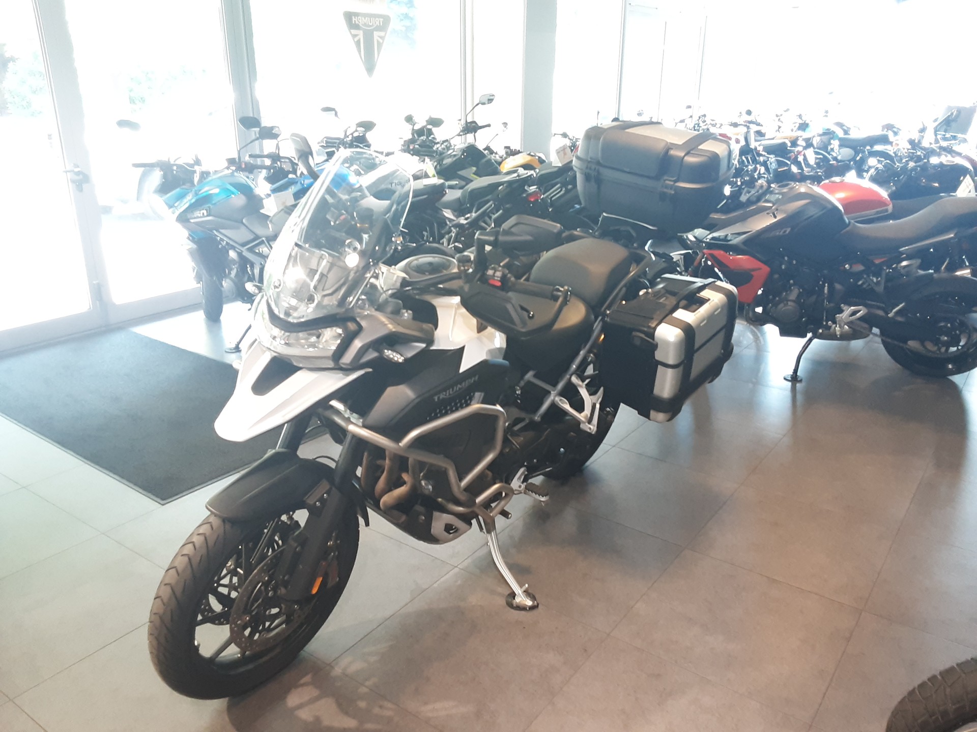 TRIUMPH Tiger 1200 GT Explorer-image-5