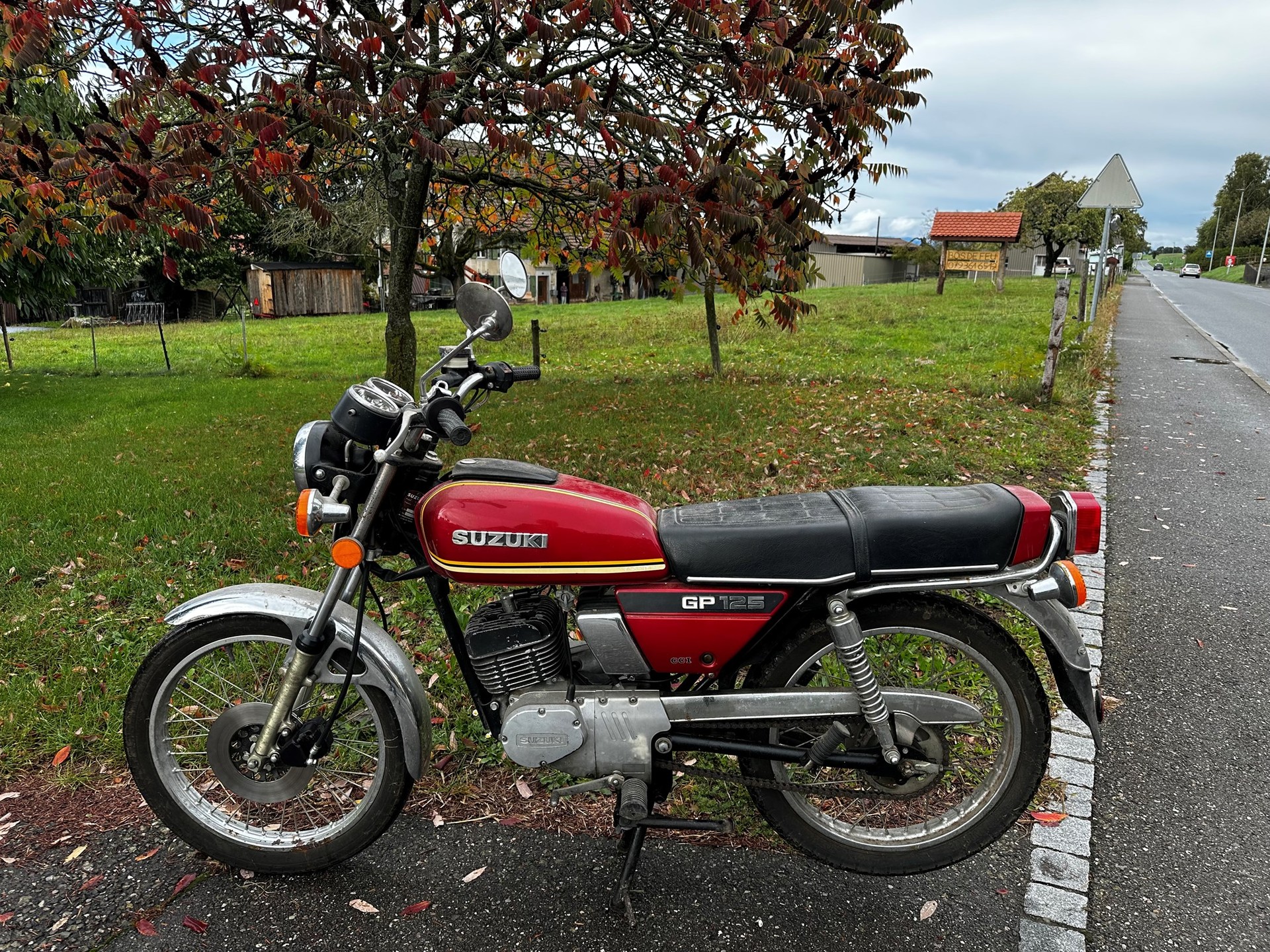 SUZUKI GP