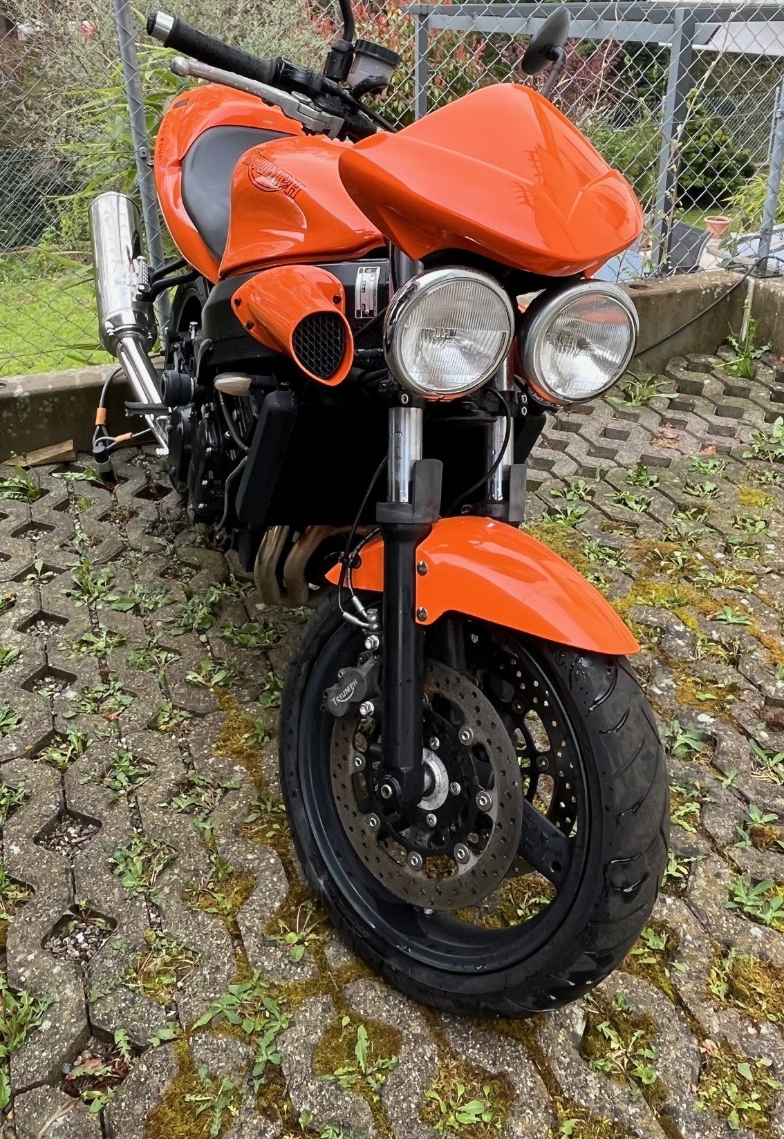 TRIUMPH Speed-Four 600i-image-4