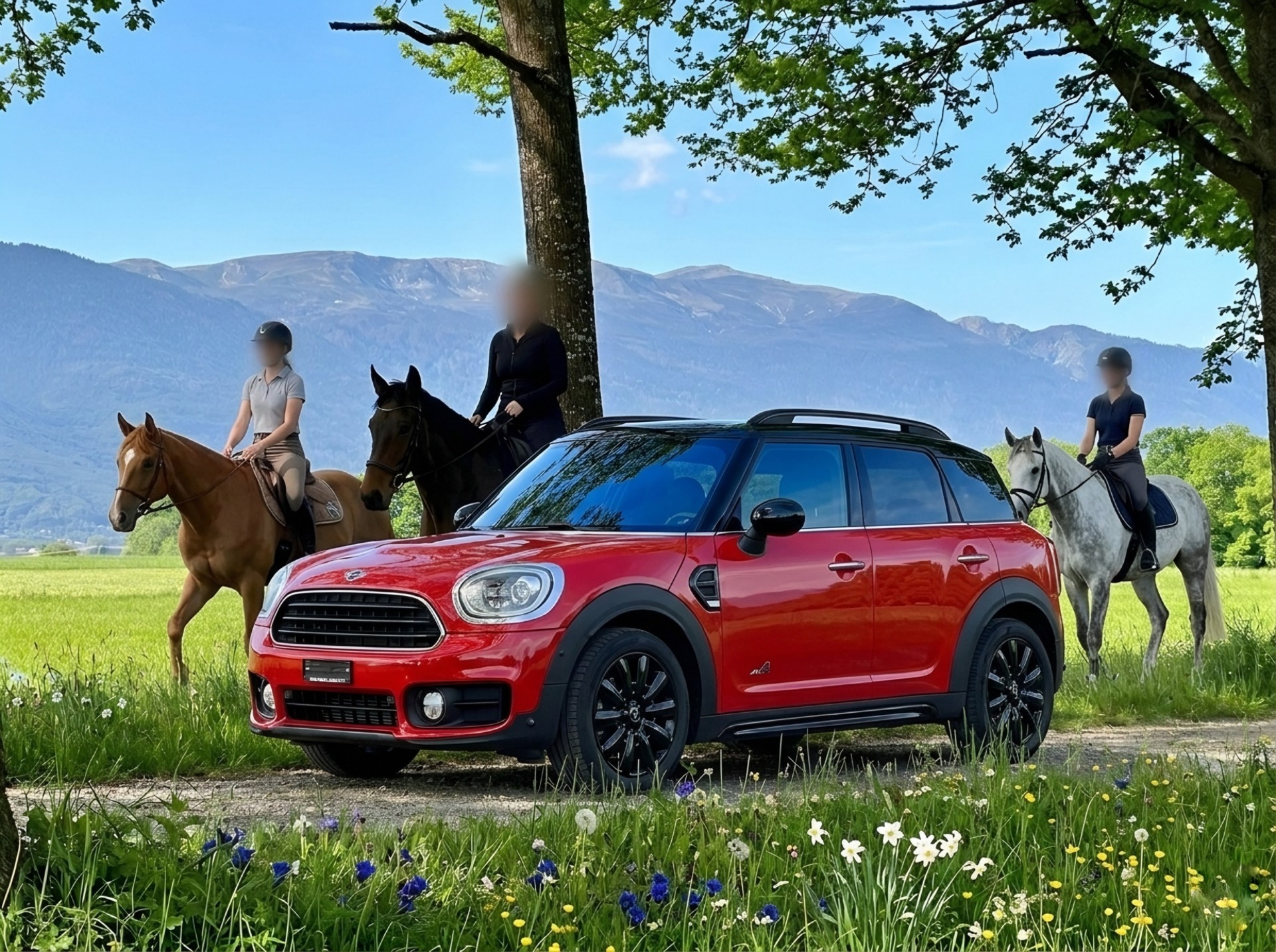 MINI Countryman Cooper ALL4 Steptronic