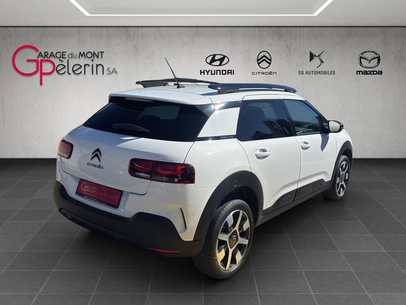 CITROEN Citroën C4 Cactus 1.2 130 Shine-showroom-element-3