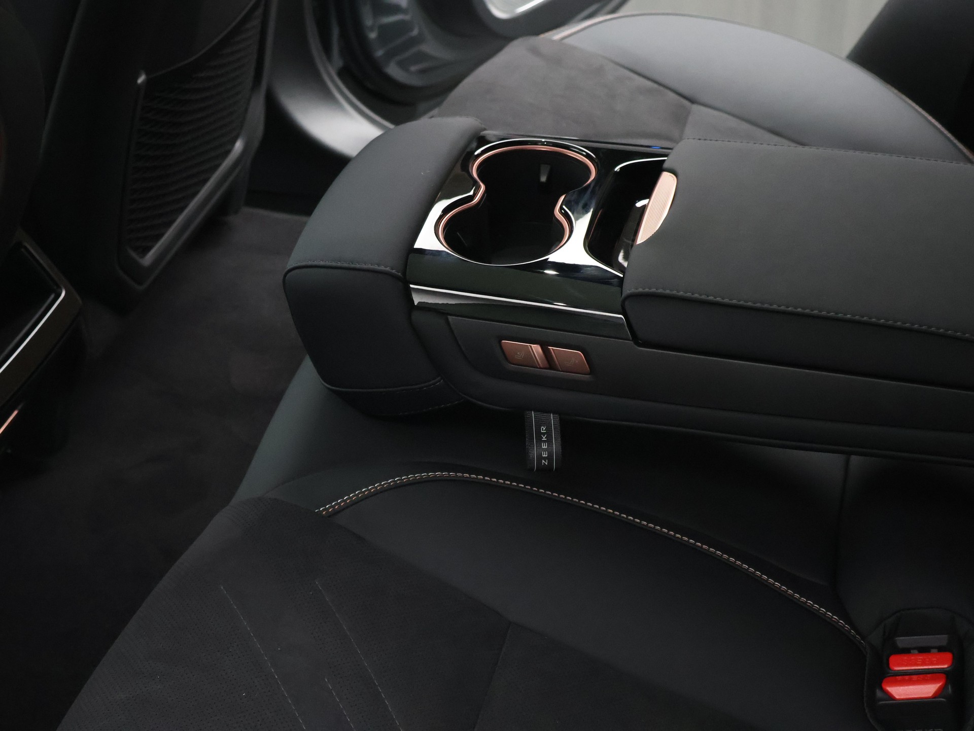ZEEKR 001 Performance AWD 0% Leasing 48 Monate-image-27