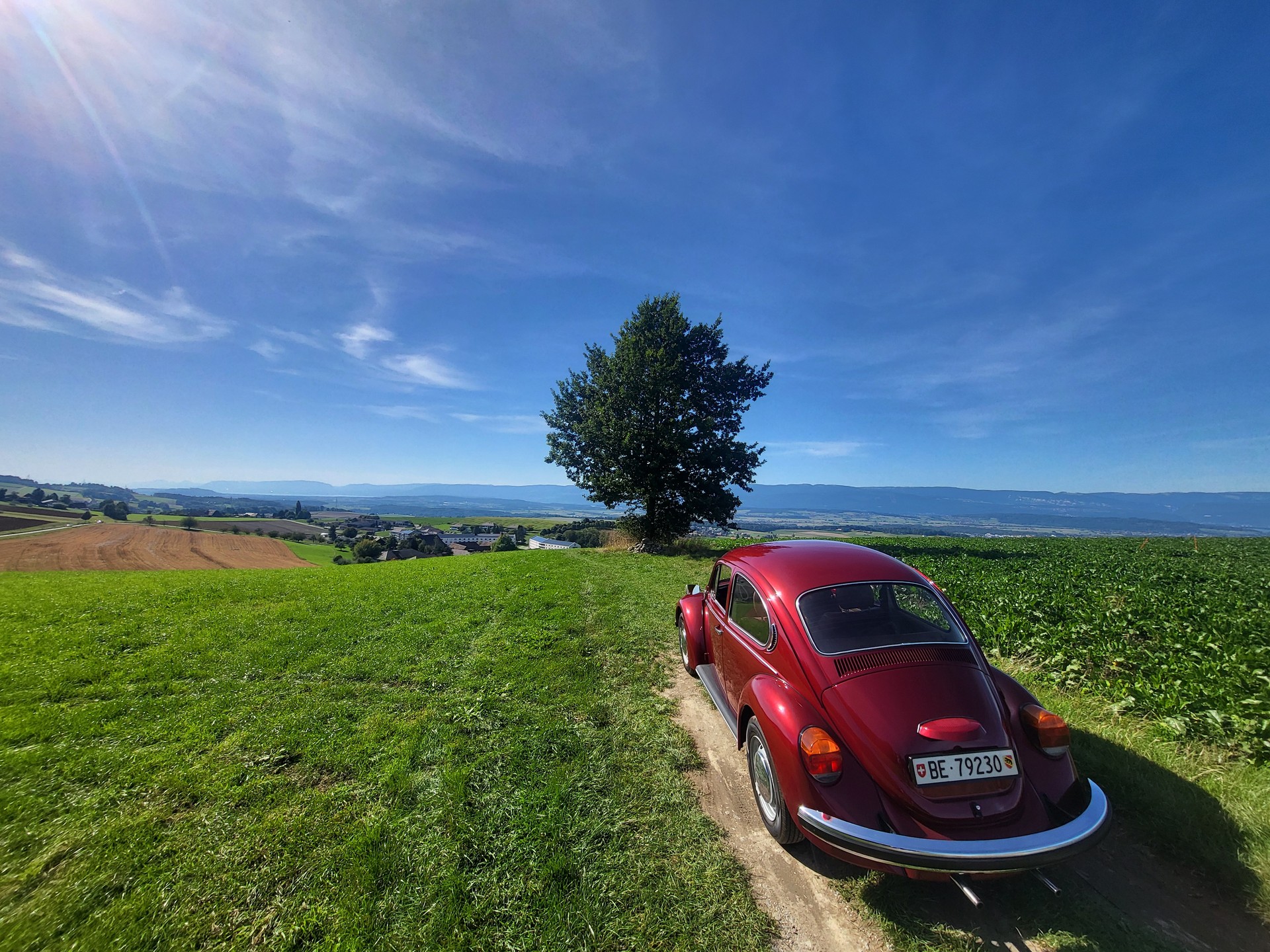 VW 1200 L-image-6