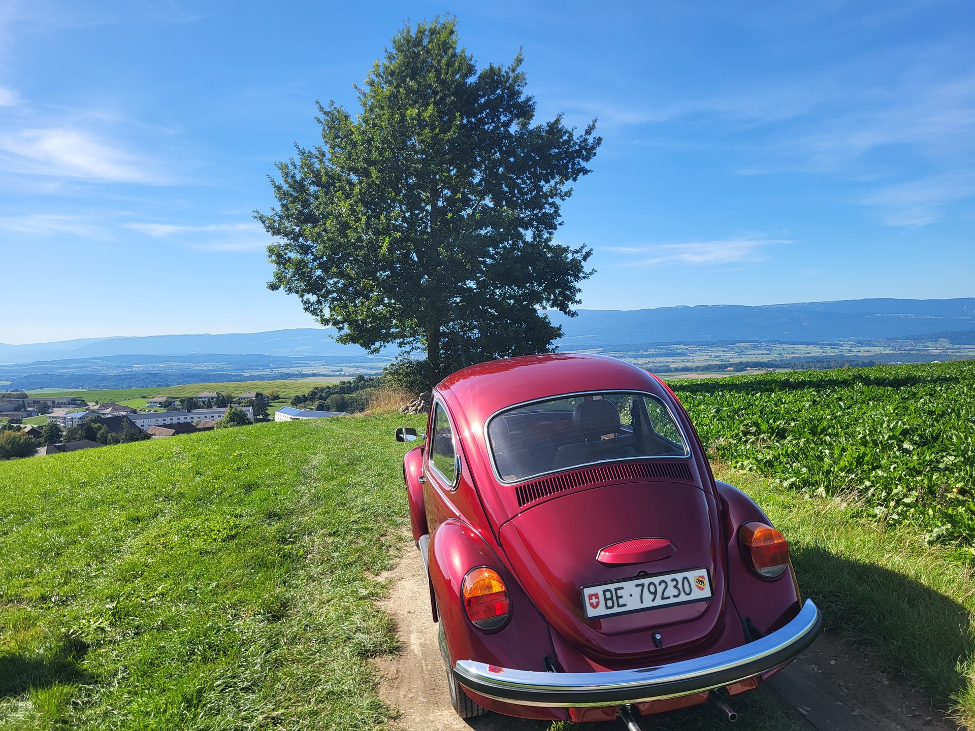 VW 1200 L-image-5