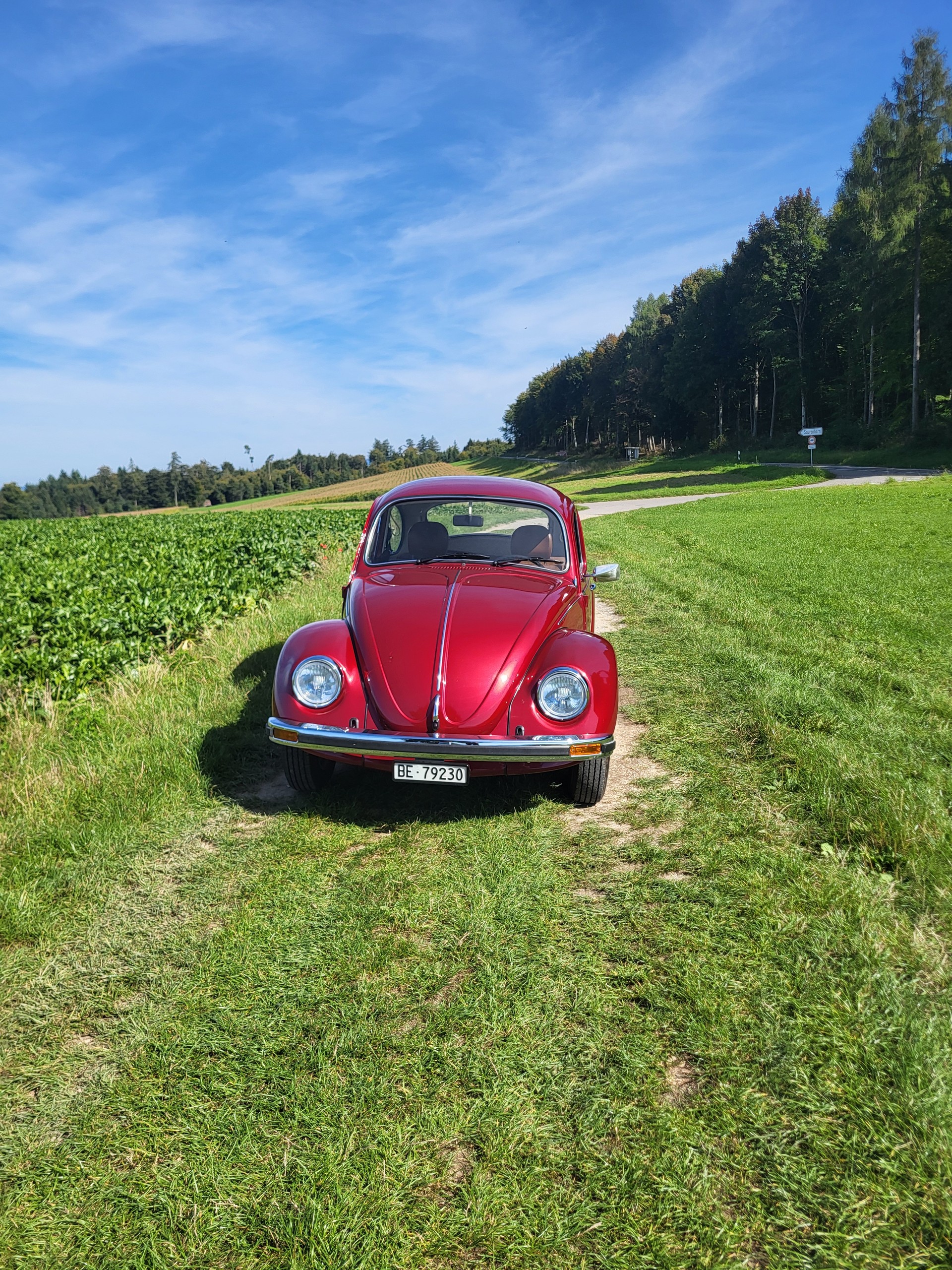 VW 1200 L-image-4