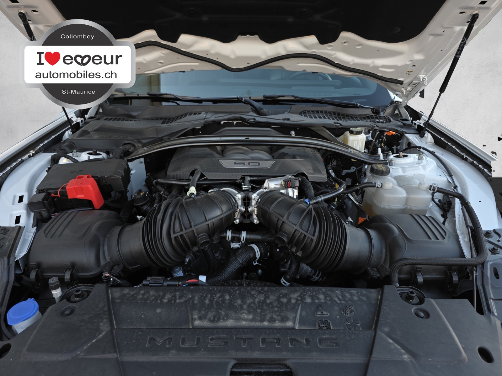 FORD Mustang Convertible 5.0 V8 GT-image-14