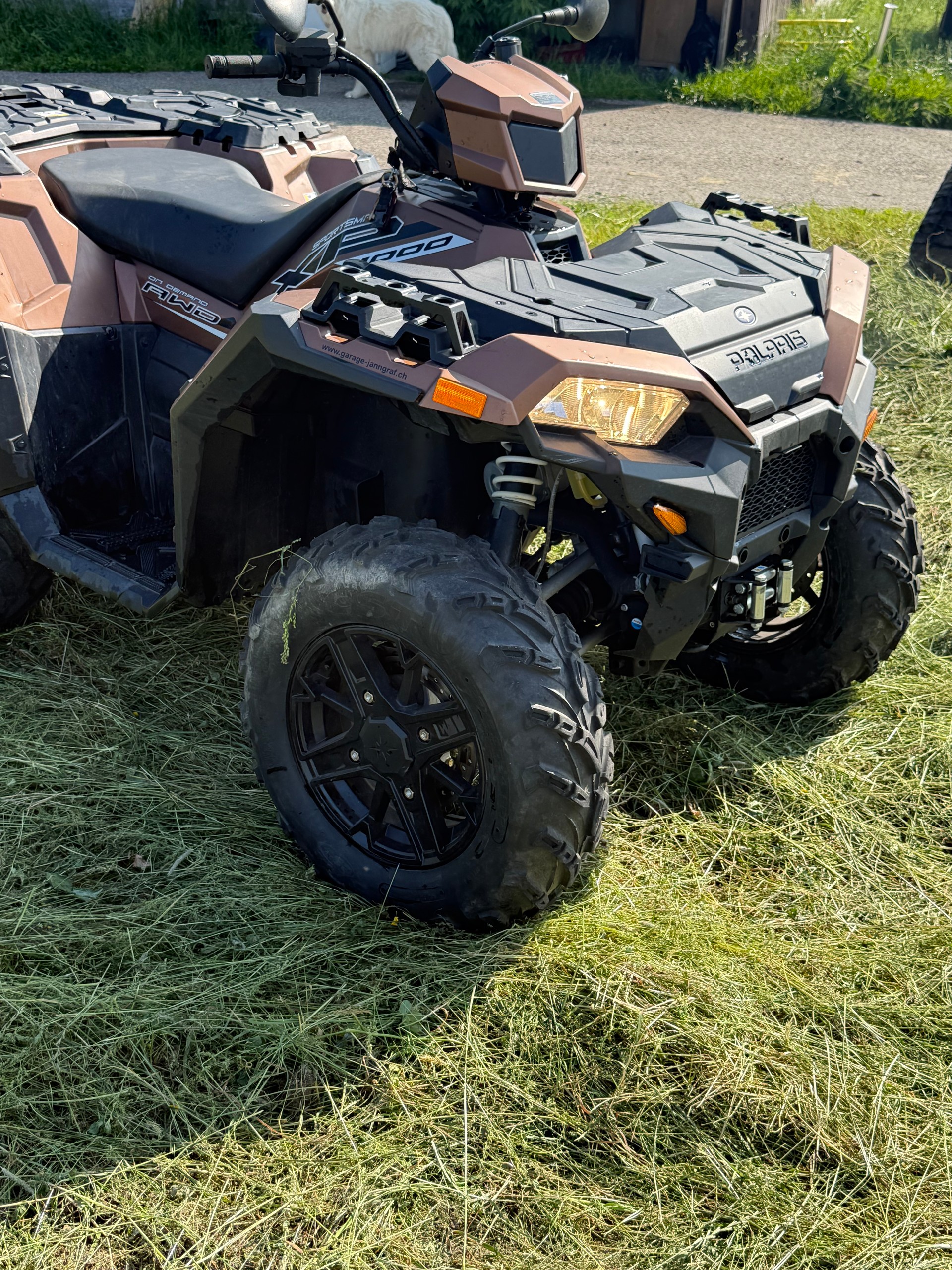 POLARIS 1000-image-4
