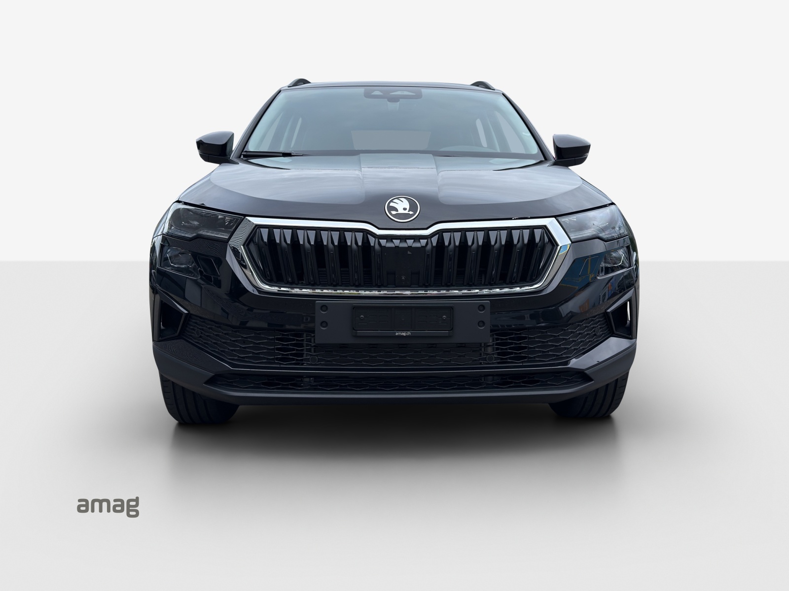 SKODA Karoq 2.0 TDI CR Dynamic 4x4 DSG-image-6