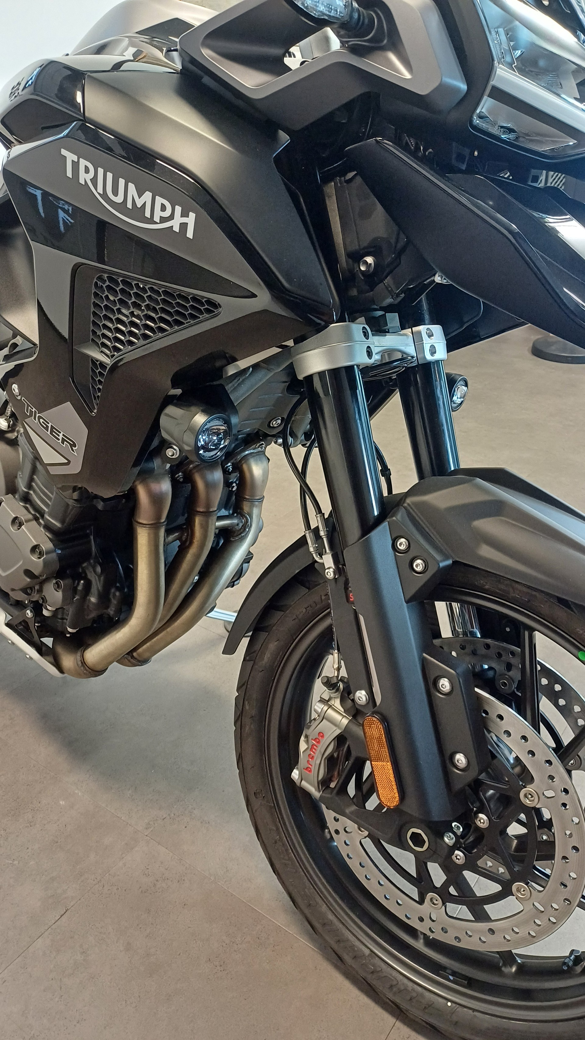 TRIUMPH Tiger 1200 GT Pro-image-6