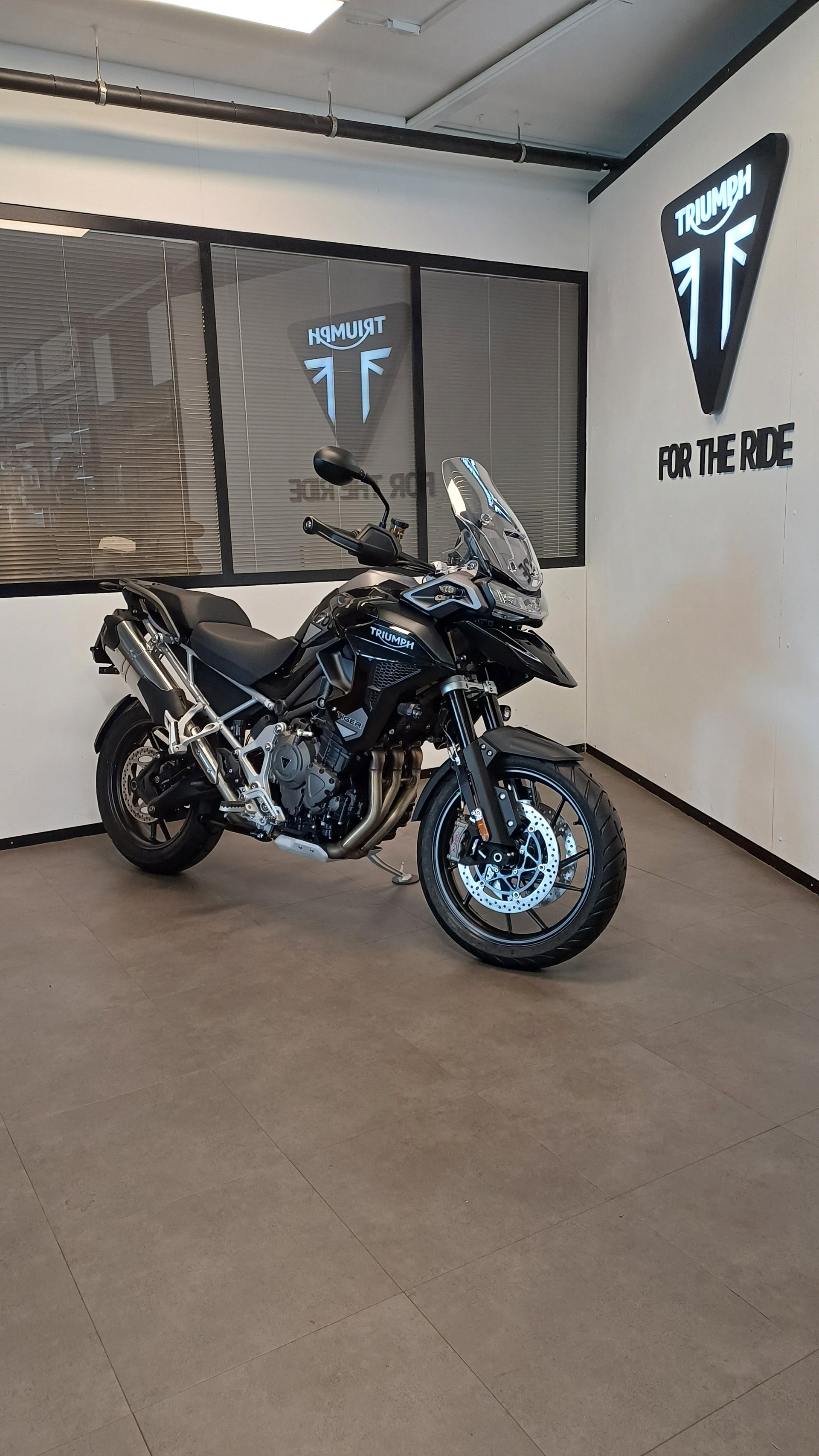 TRIUMPH Tiger 1200 GT Pro-image-3