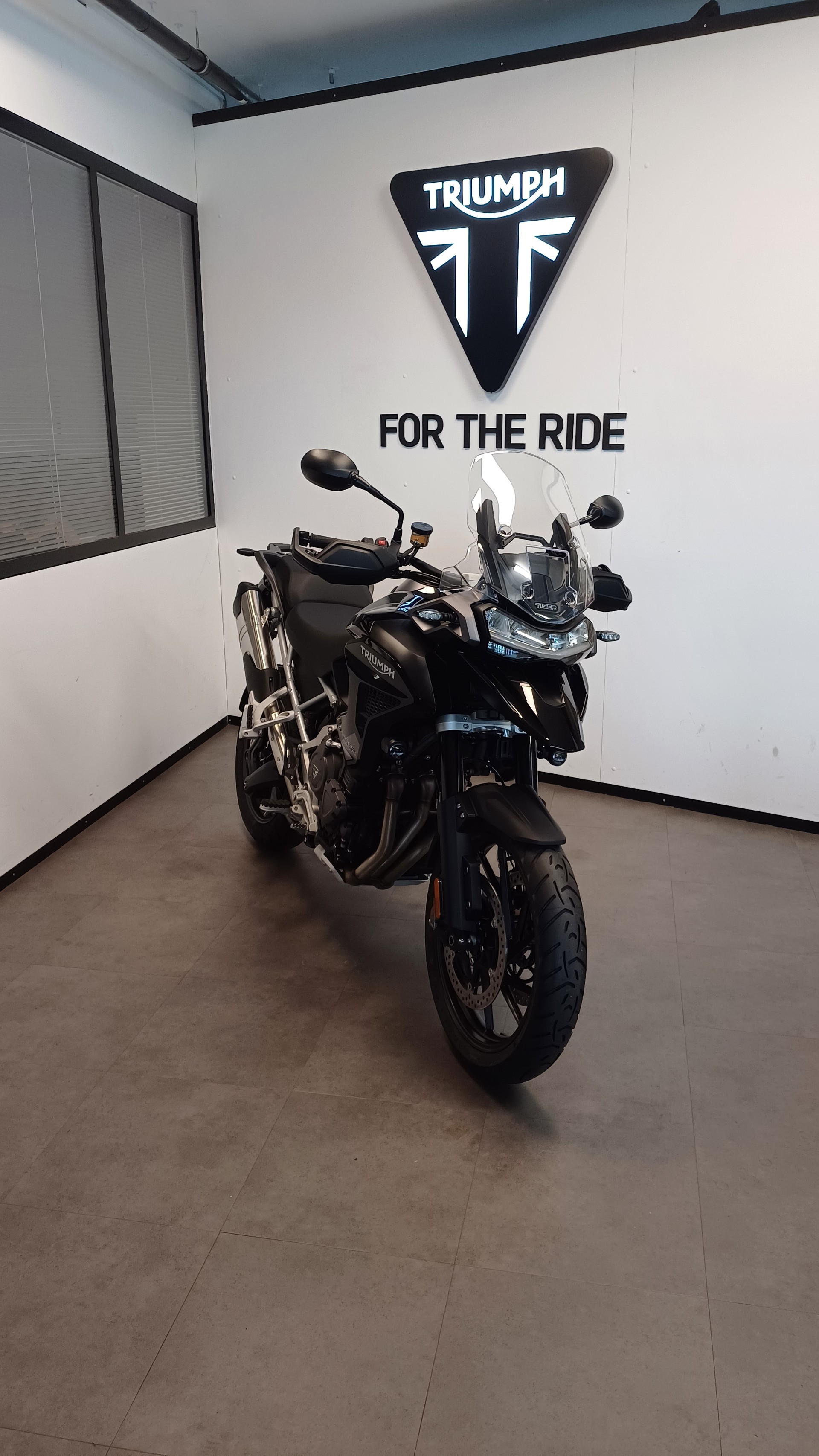TRIUMPH Tiger 1200 GT Pro-image-4