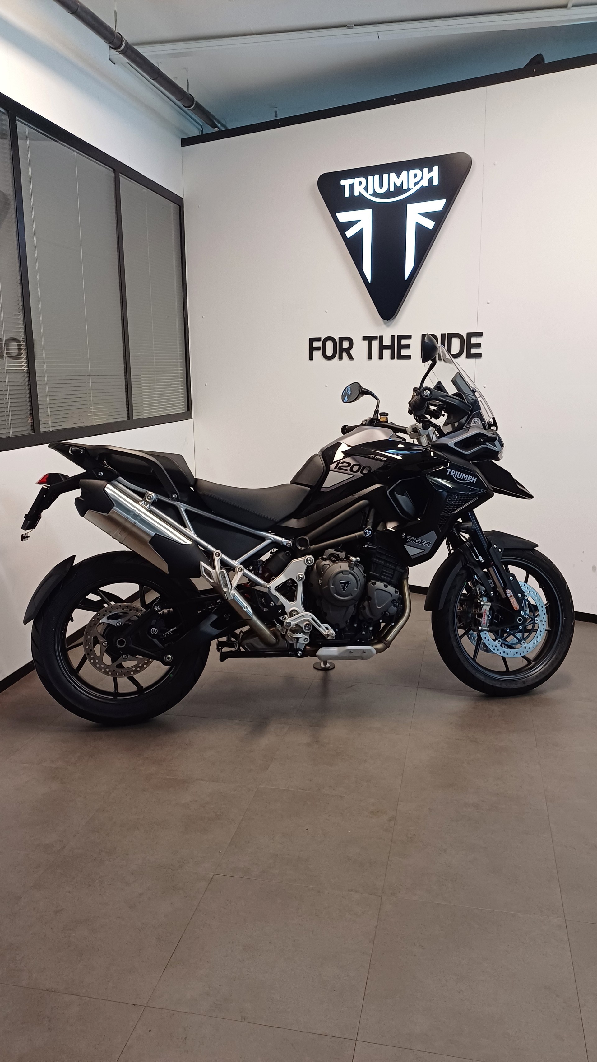 TRIUMPH Tiger 1200 GT Pro-image-2