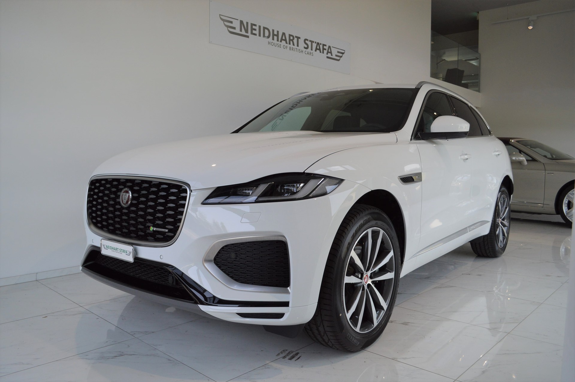 JAGUAR F-Pace 2.0 P250 R-Dynamic SE AWD-showroom-element-1
