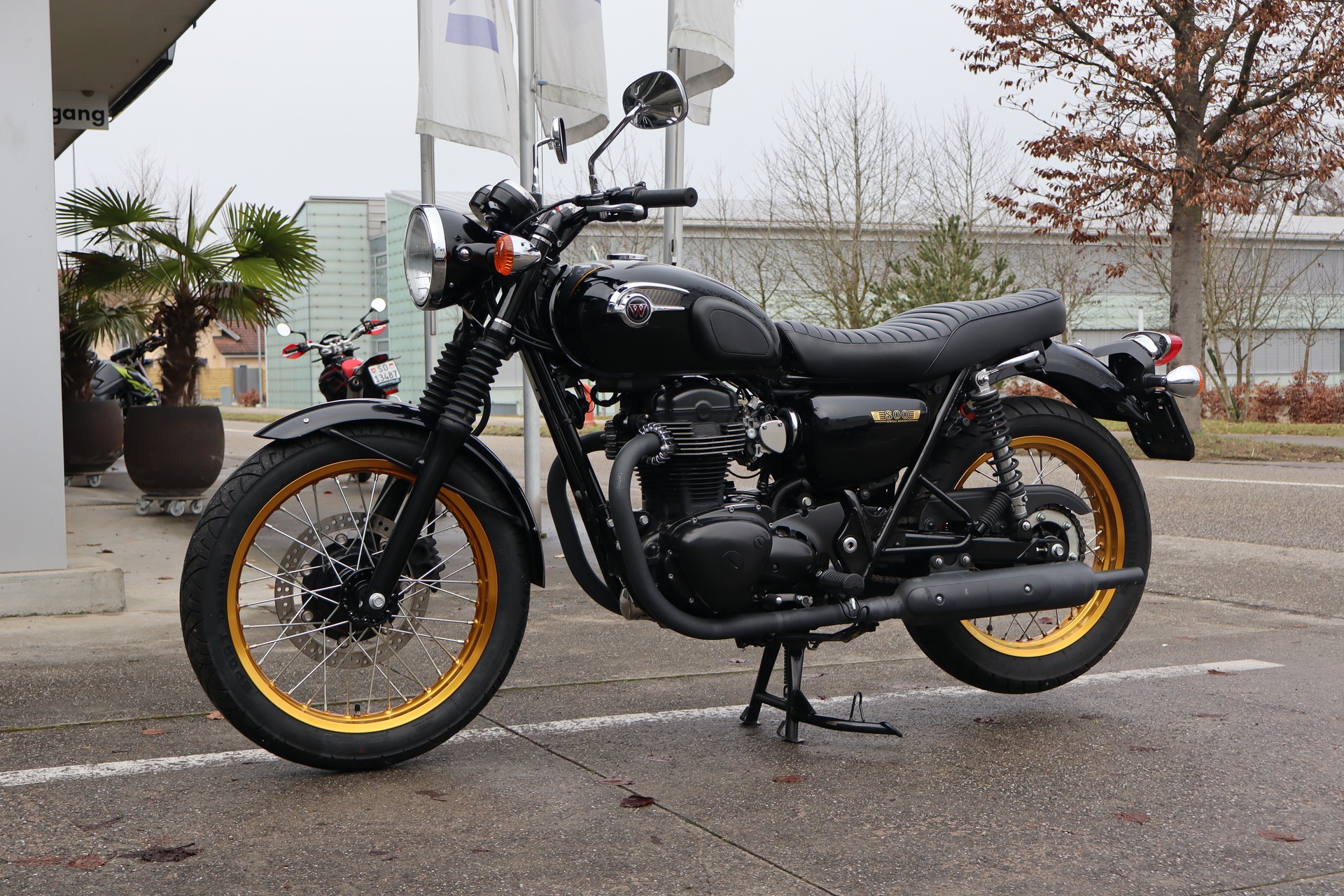 KAWASAKI W 800 Special Edition-image-4