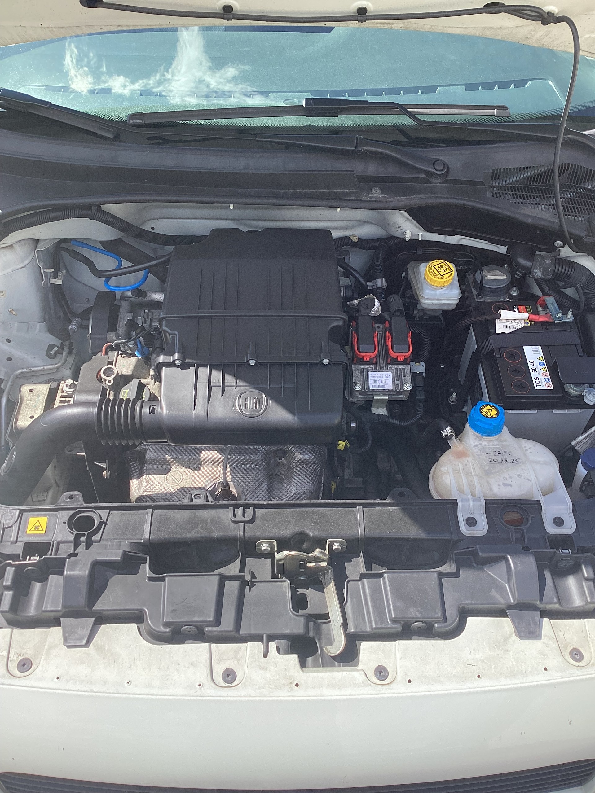 FIAT PUNTO-image-3