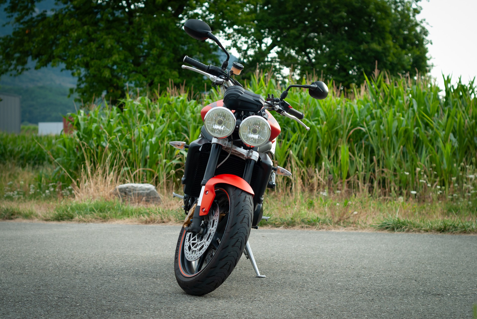 TRIUMPH Street Triple R 675-image-3