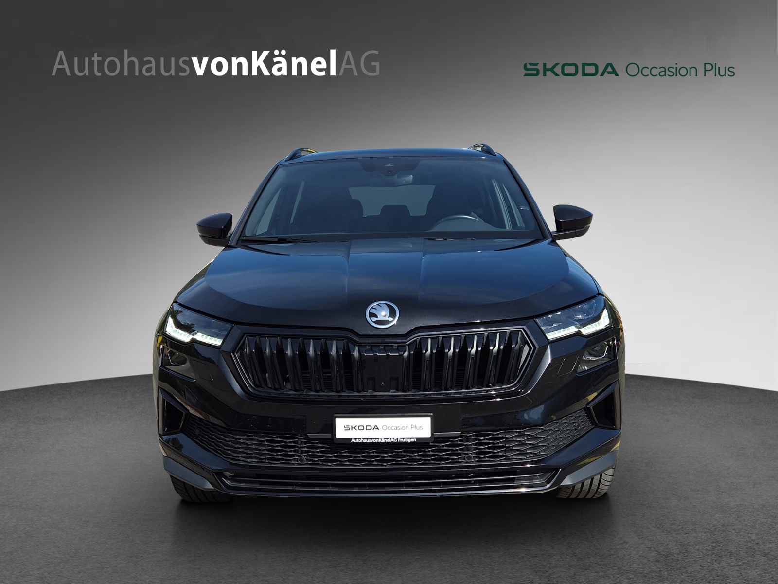 SKODA Karoq 2.0 TSI SportLine 4x4 DSG-showroom-element-3