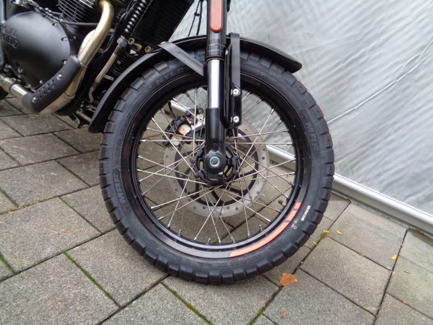 ROYAL ENFIELD BEAR 650-image-8