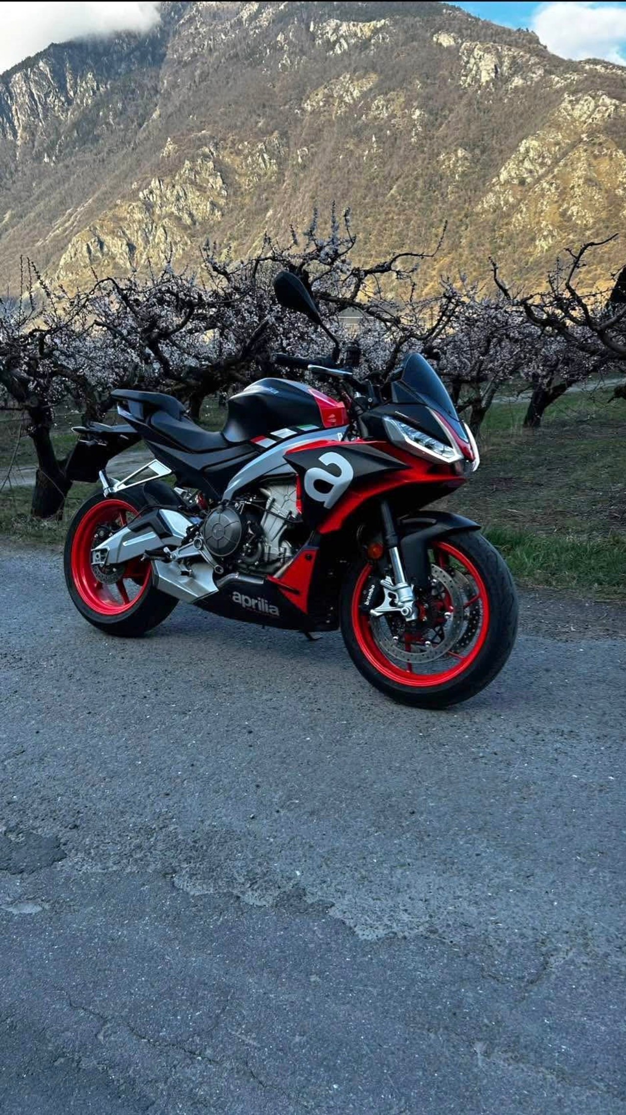 APRILIA Tuono 660 (35kw)-image-1