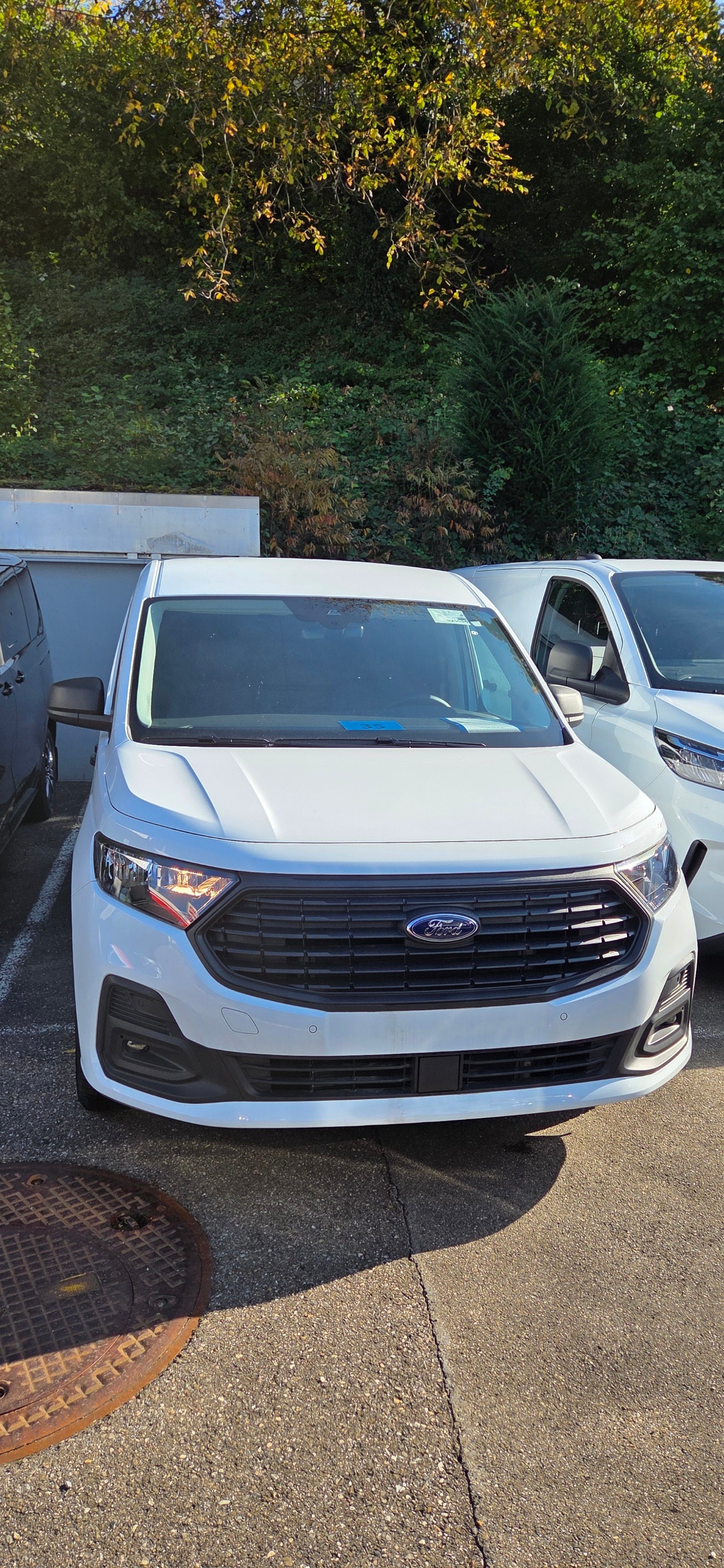 FORD Transit Custom Van 280 L1H1 Trend-image-13