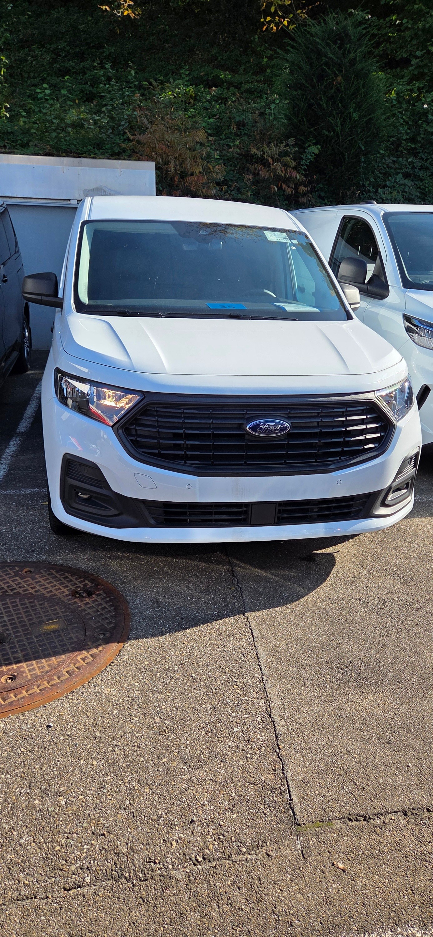 FORD Transit Custom Van 280 L1H1 Trend-image-14