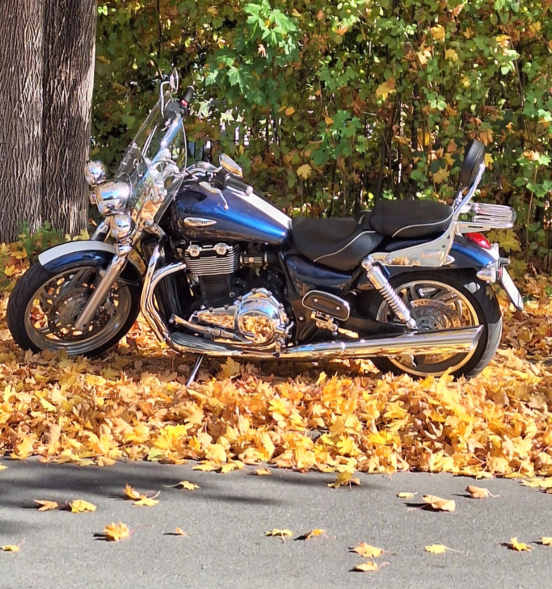 TRIUMPH Thunderbird 1600 ABS
