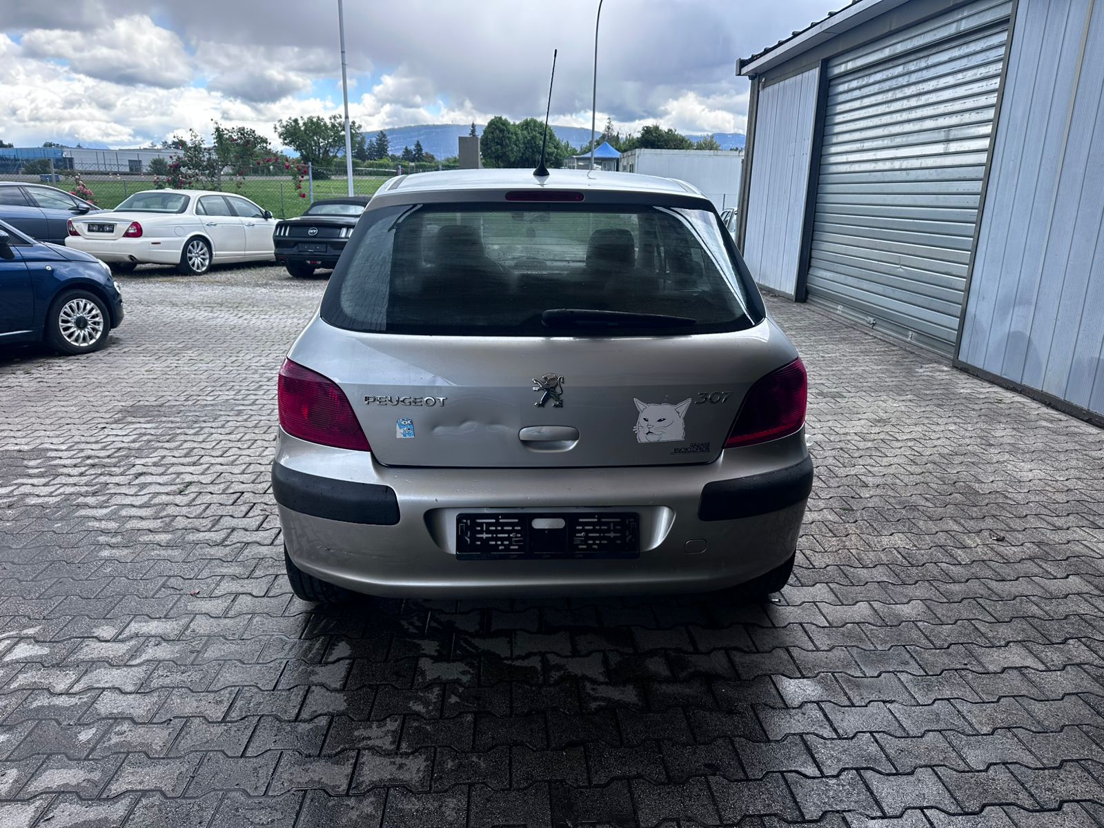 PEUGEOT 307 2.0 16V XS-image-3