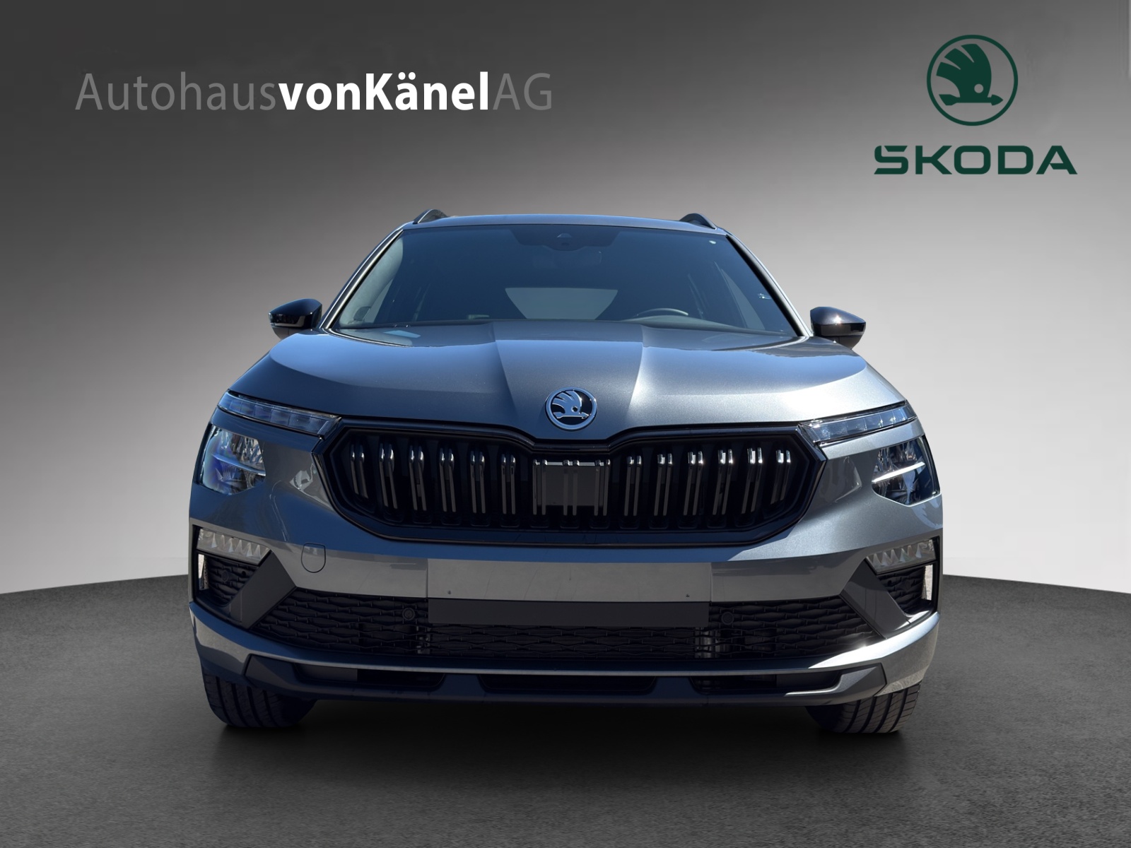 SKODA Kamiq 1.0 TSI Dynamic DSG-showroom-element-3