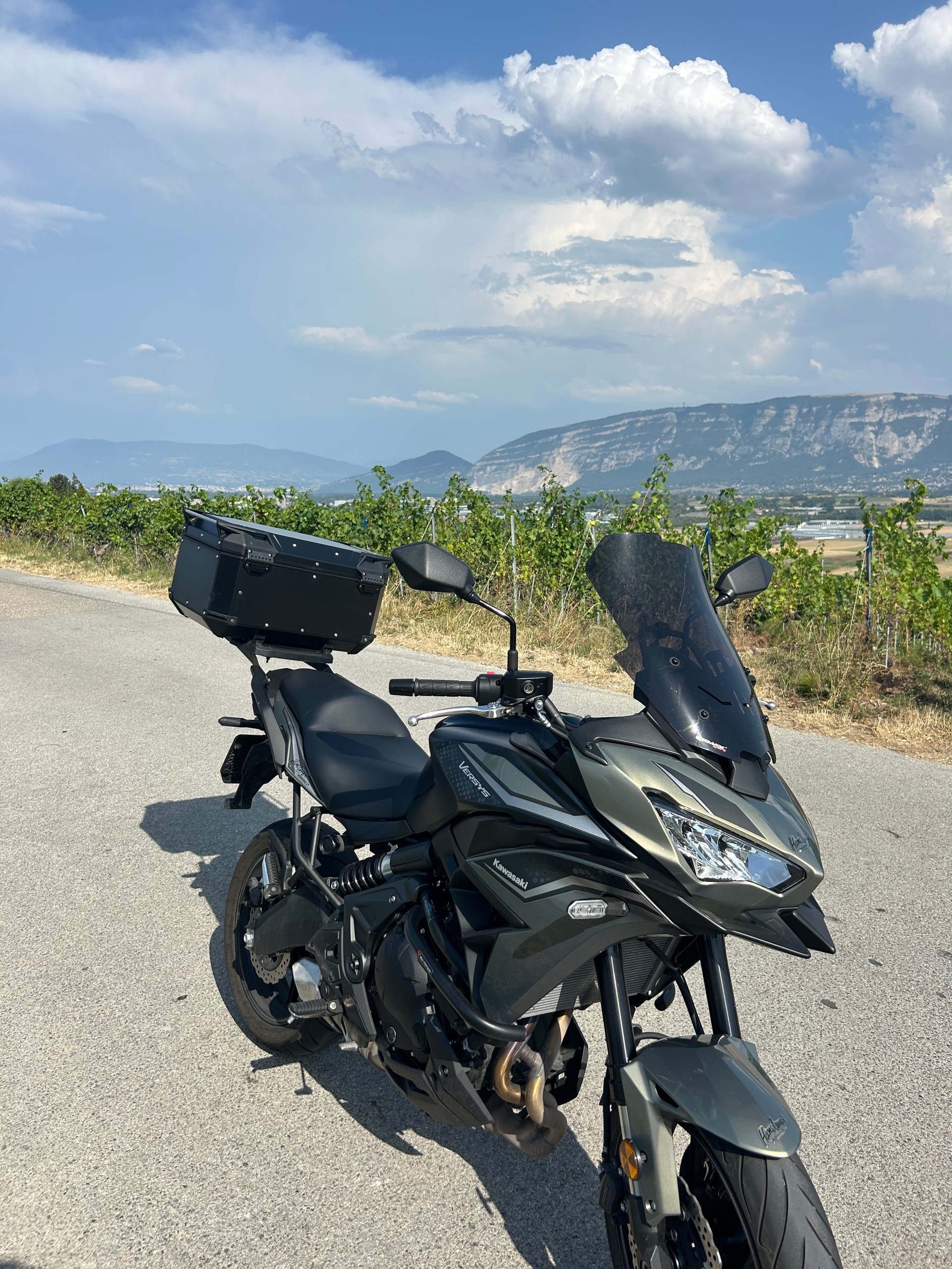 KAWASAKI Versys 650 (35kW)-image-0