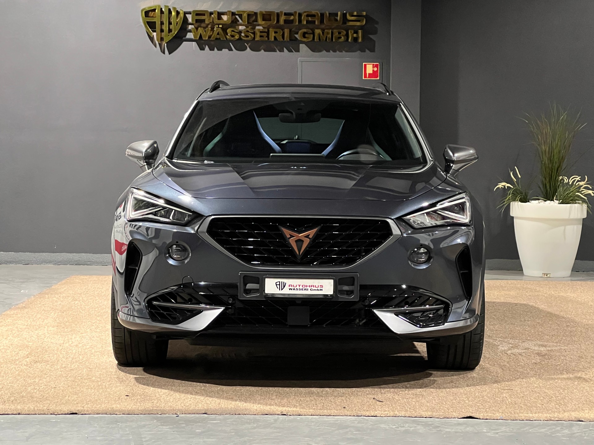 CUPRA Formentor 2.0TSI VZ 4Drive DSG-image-8
