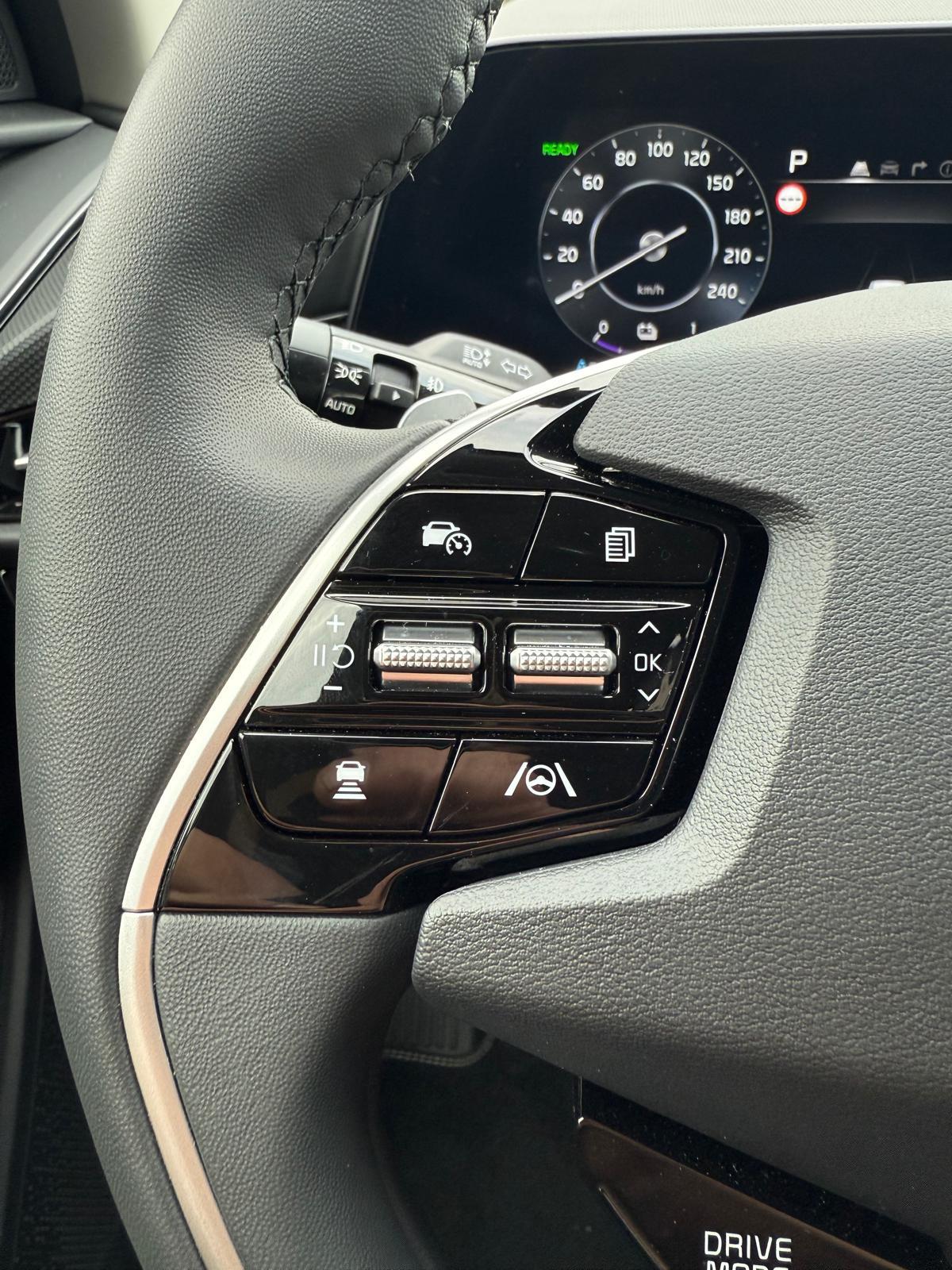 KIA Niro Power Edition-image-19