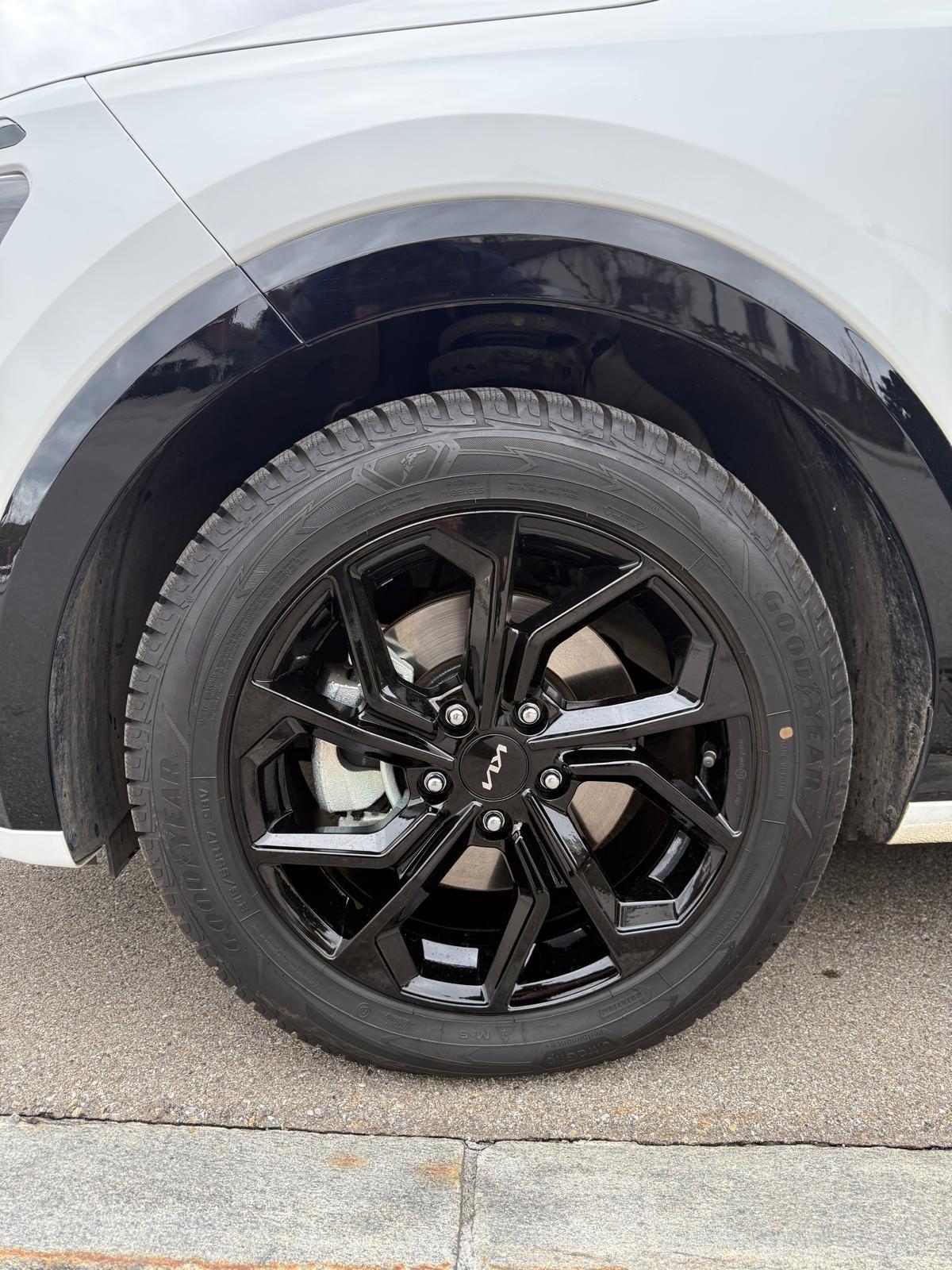 KIA Niro Power Edition-image-9