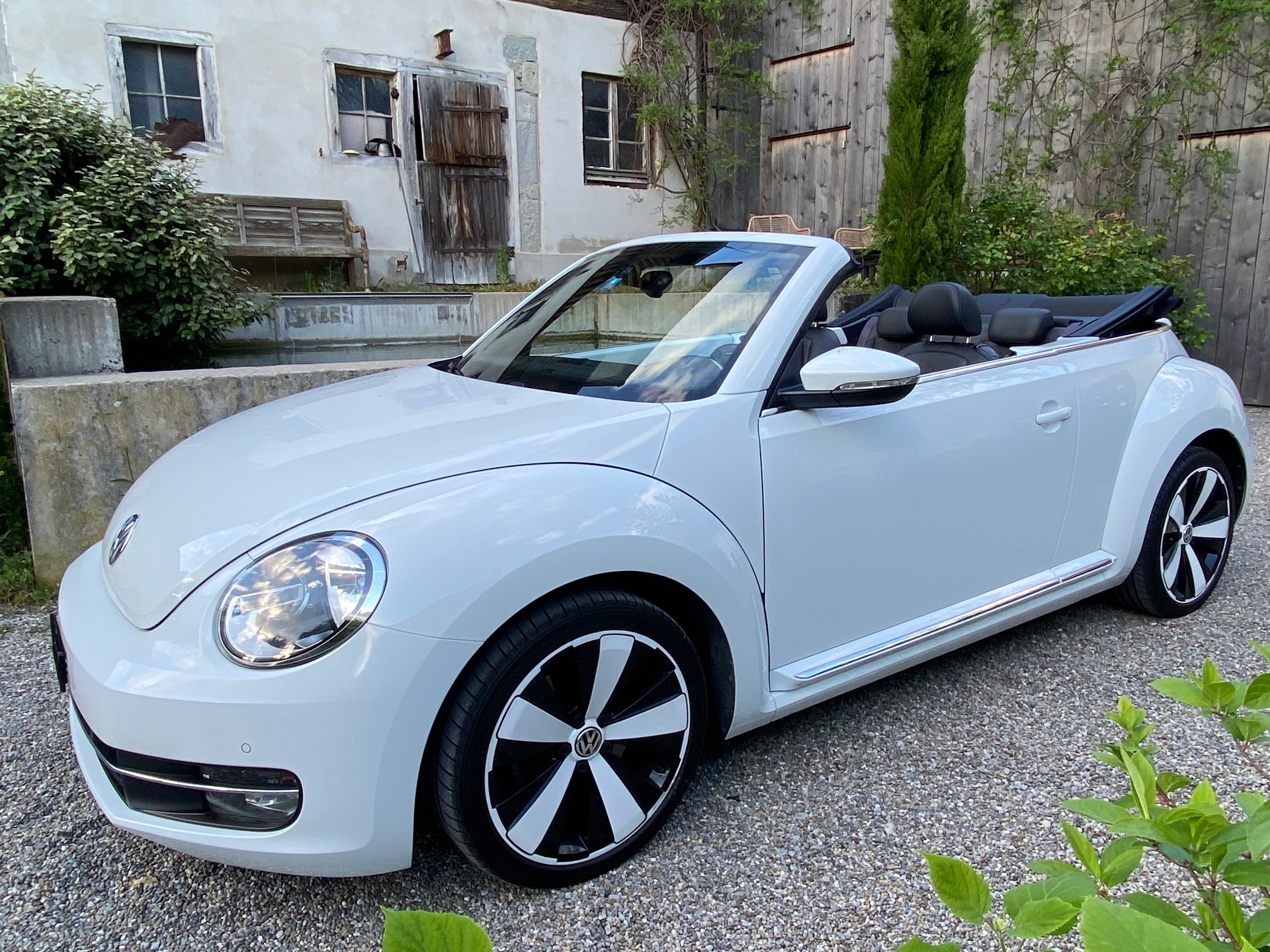 VW VW Beetle Cabrio 1.4 TSI Sport - frisch ab Service & MFK - Leder-image-1