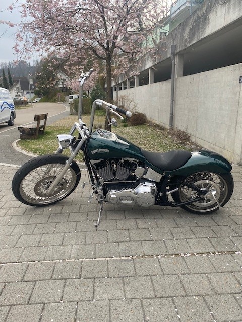 HARLEY-DAVIDSON FLSTF Fat Boy-image-6
