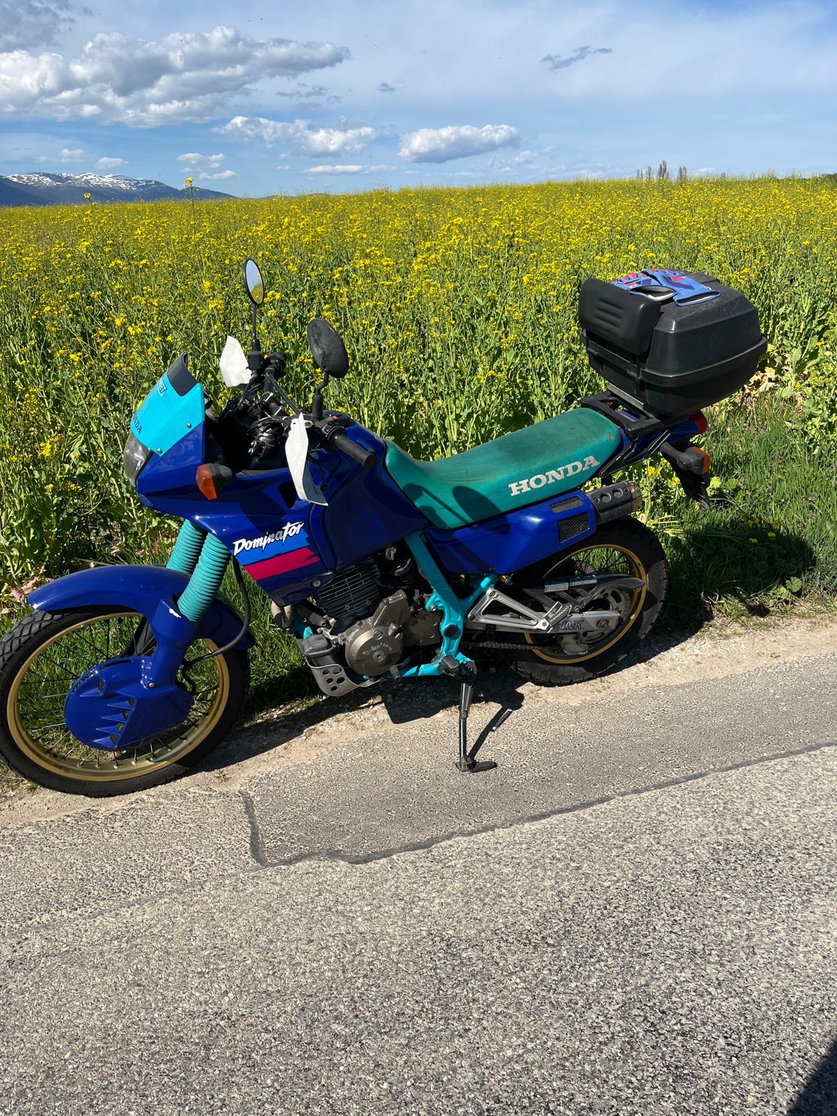 HONDA NX 650 Dominator M-image-1