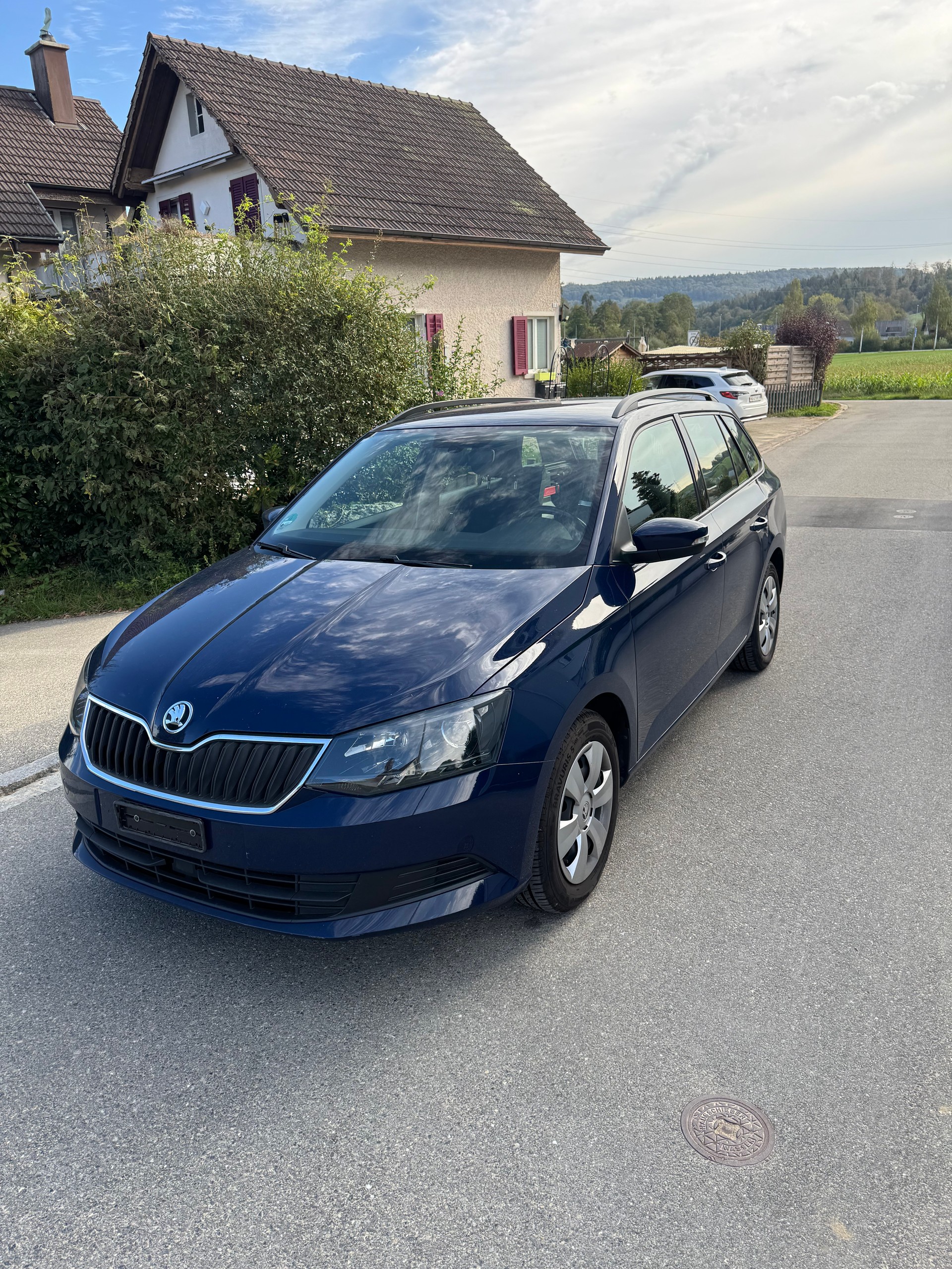 SKODA Fabia 1.2 TSI Swiss Joy DSG