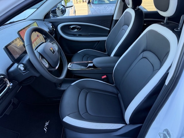 JAC E30X-image-5