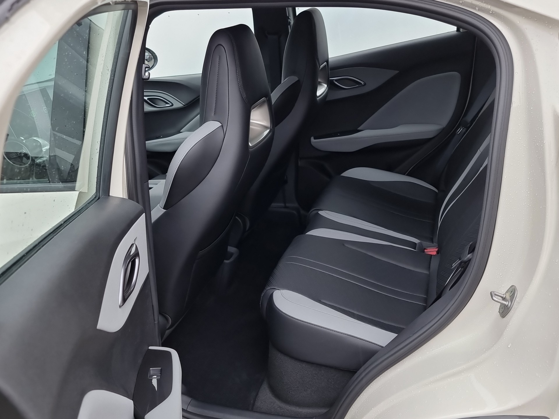 BYD Dolphin Surf Active-image-13