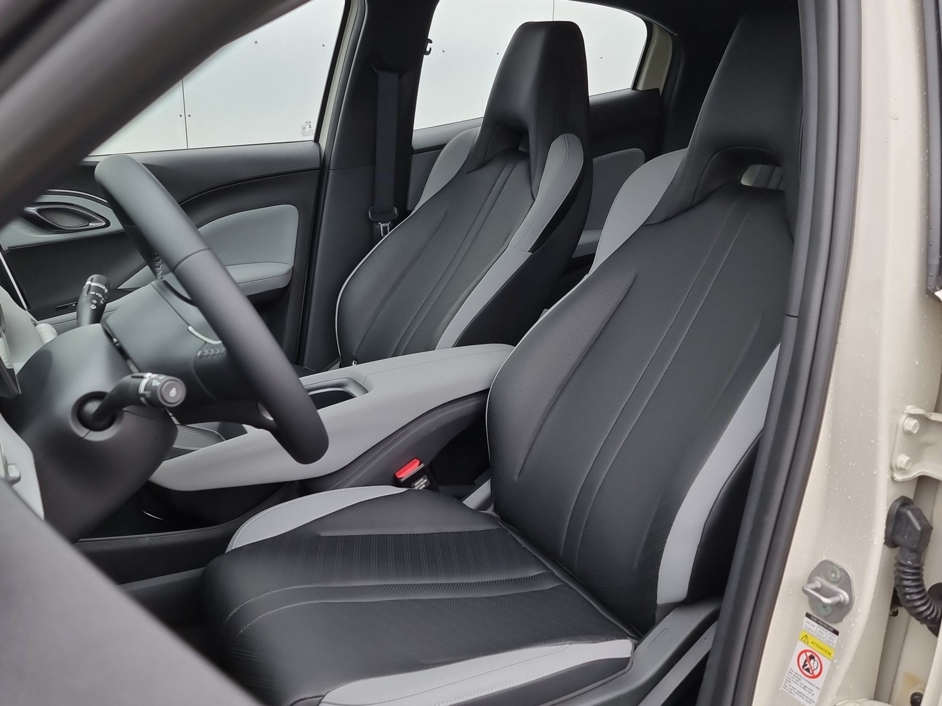 BYD Dolphin Surf Active-image-12