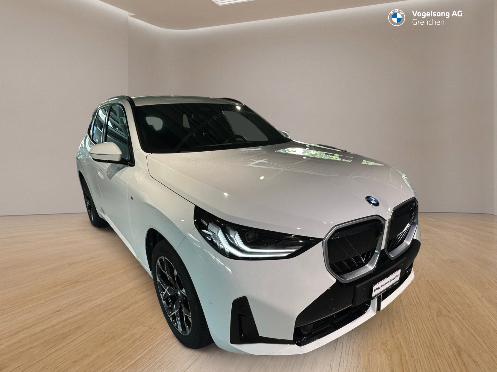 BMW X3 xDrive 48V 20d M Sport-showroom-element-1
