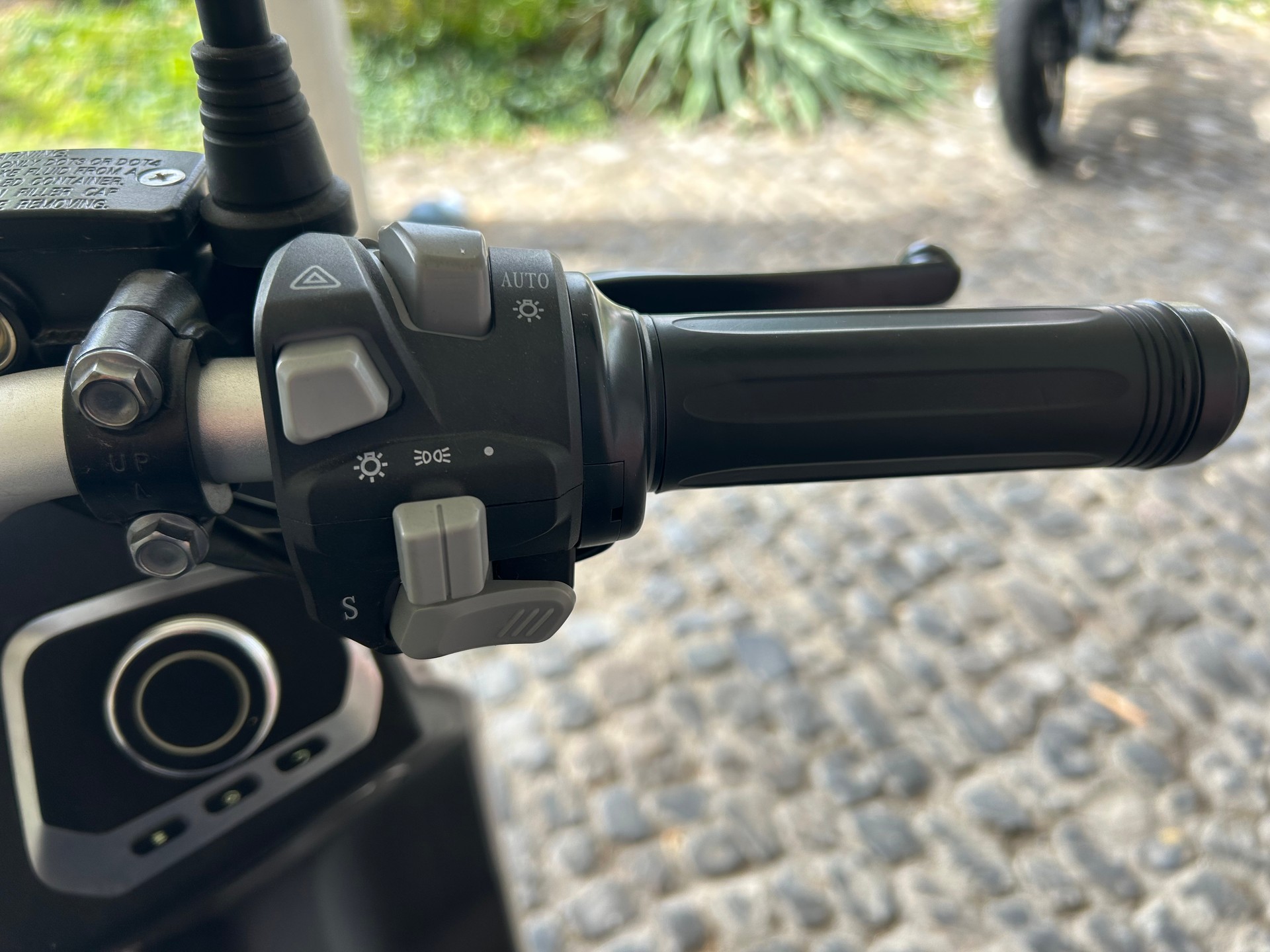 ECOOTER Mit Rack-image-8